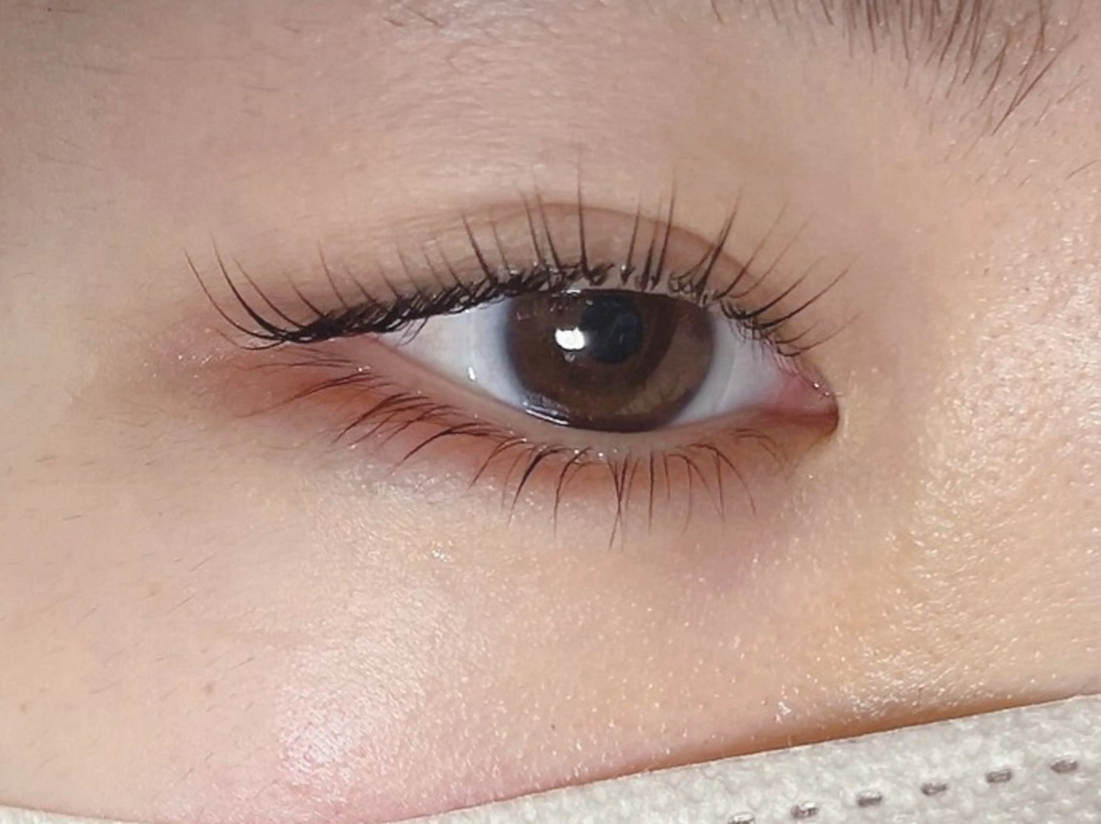 まつ毛パーマ/ラッシュリフト上下の写真