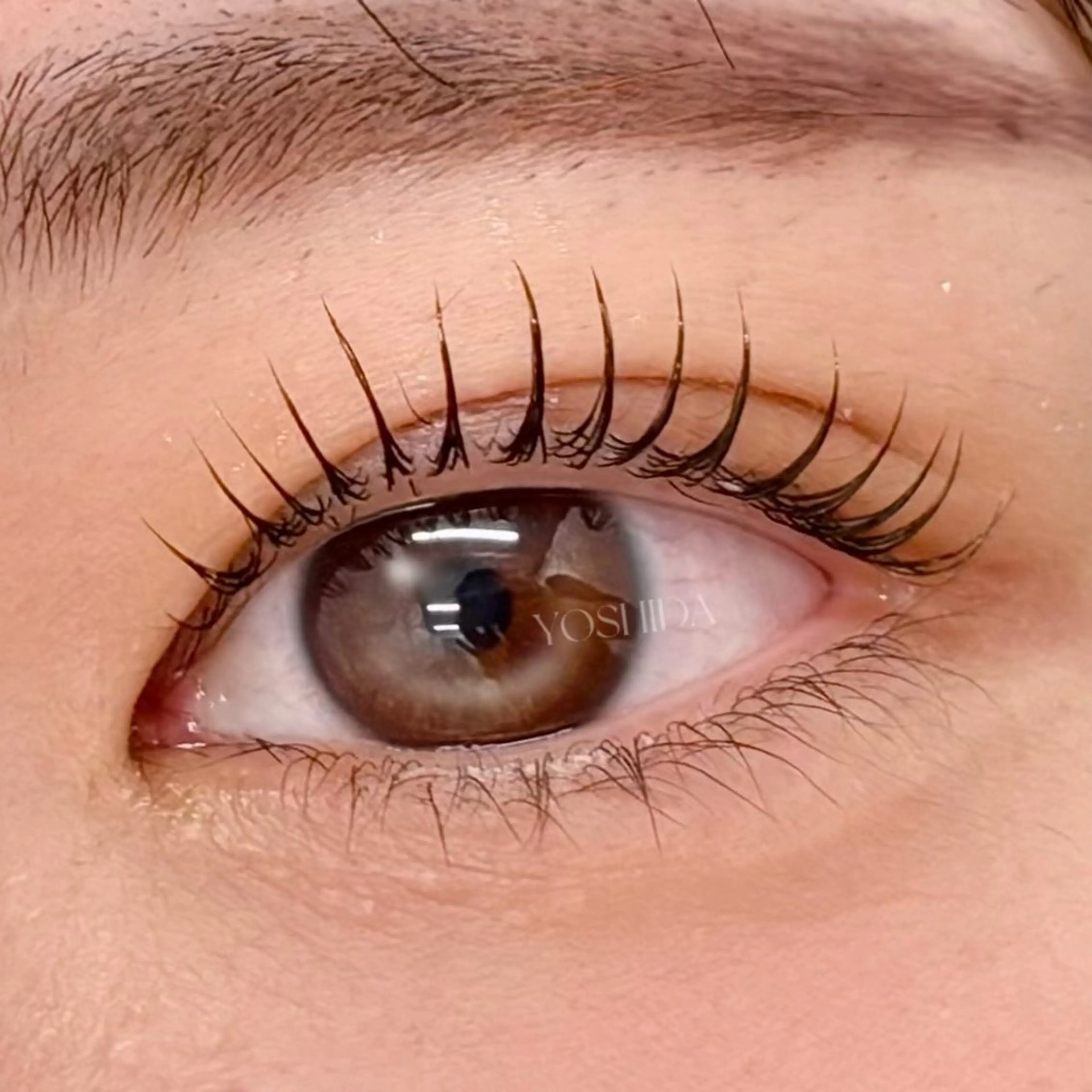 マツエク・マツパ マツパ 【一重┊︎奥二重】 YOSHIDA🌙のマツエク・マツパデザイン