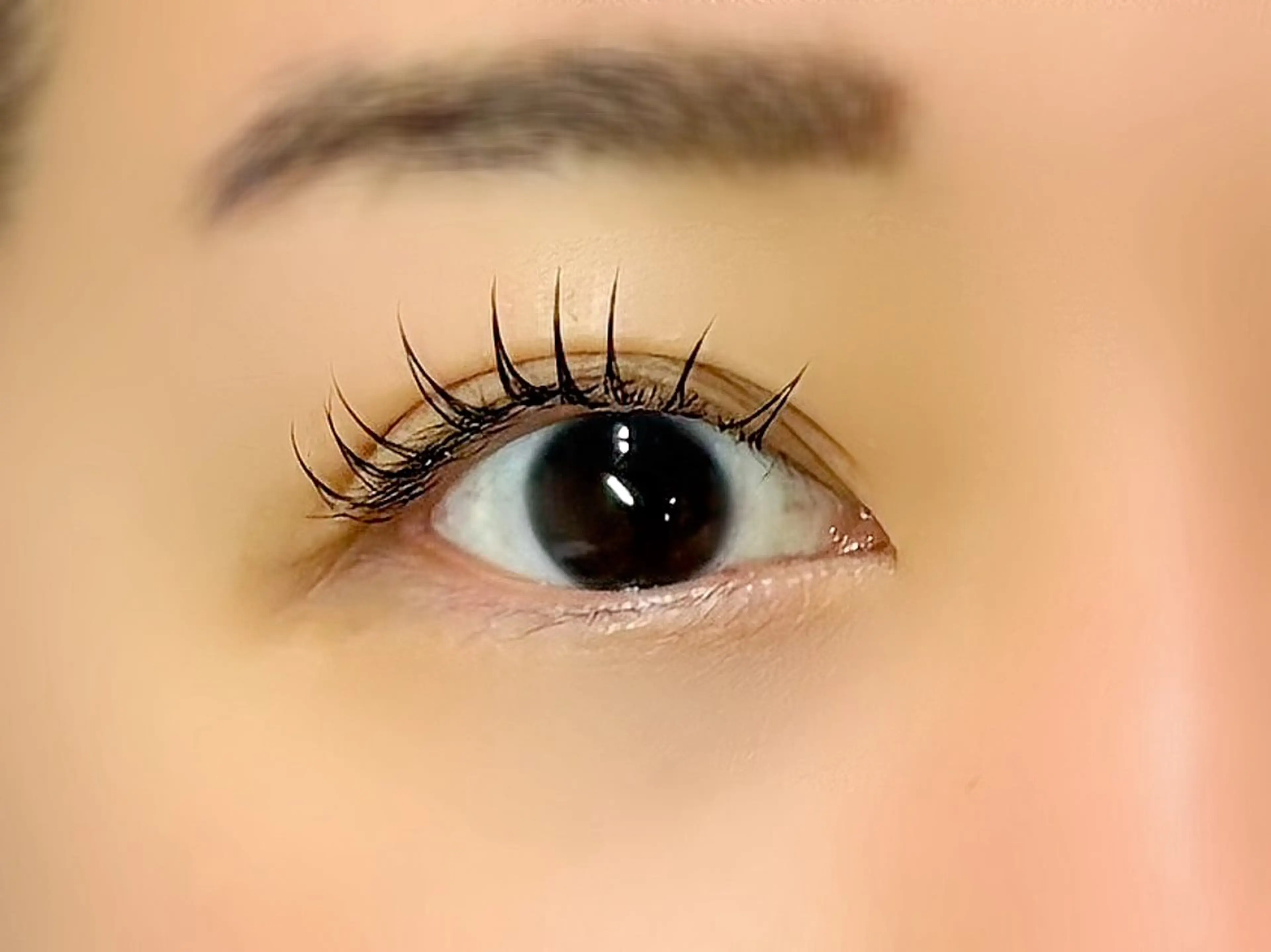 LEDエクステ♥️フラットラッシュ120本👀初回オフorアイシャンプー無料♥️ カラーエク、下エク追加可能♥️の写真