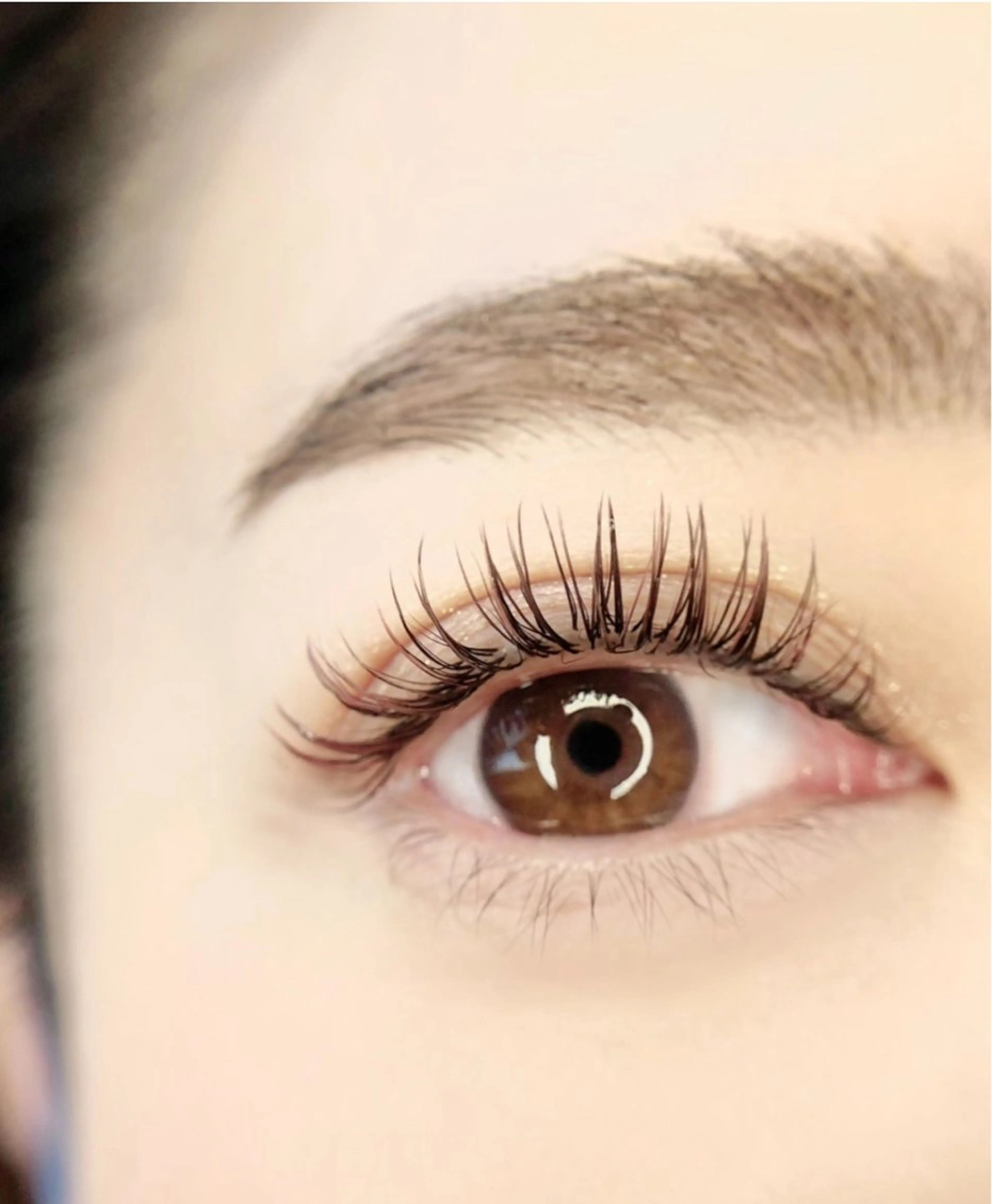 【デザインキープラッシュ】ナチュラル80束(160本)の写真