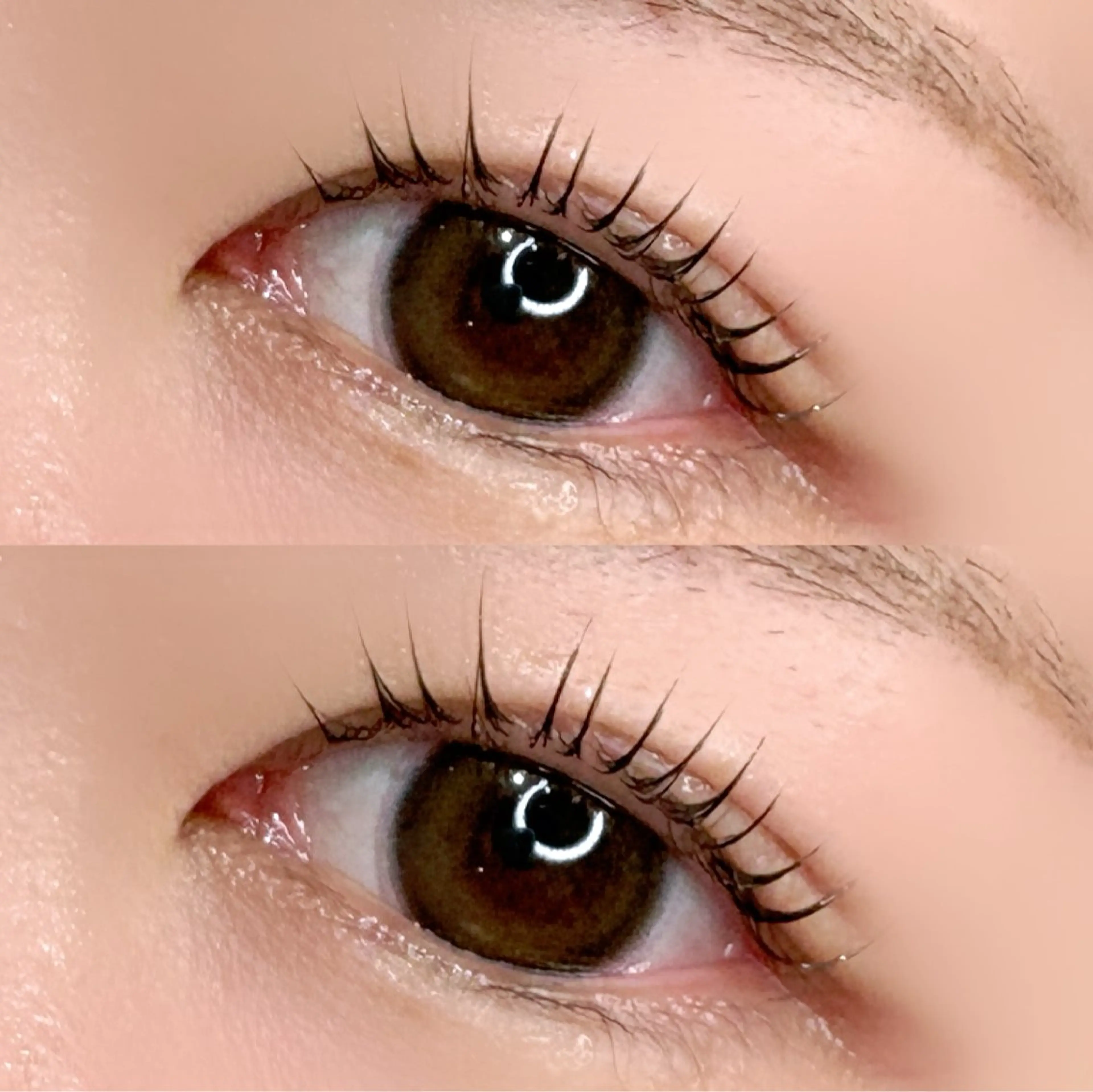 【平日限定】💎まつ毛パーマ💎(アイシャンプー🫧) 韓国風束間お仕上げ美容液コーティング付き💞の写真