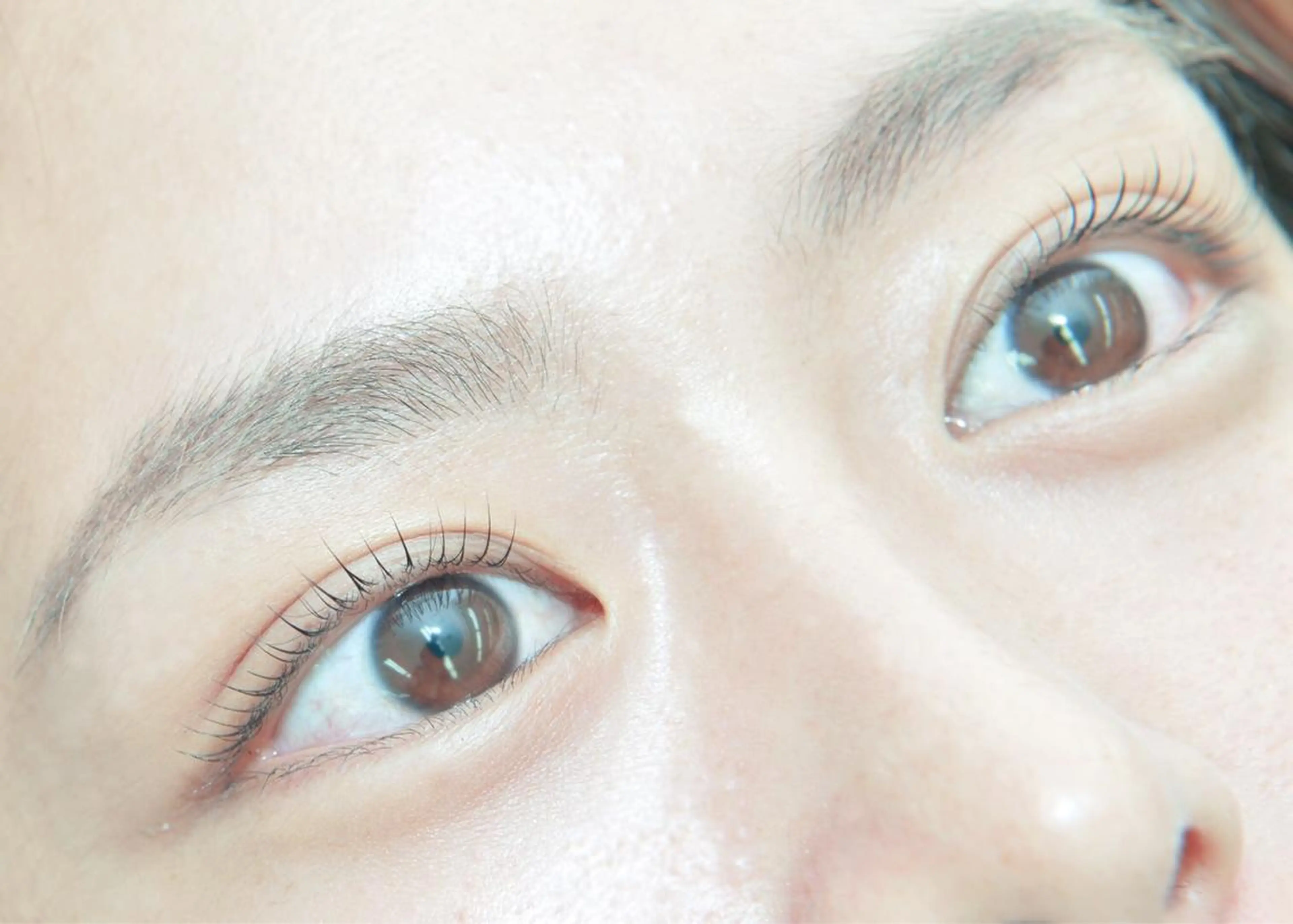 マツエク・マツパ 向井 萌華の眉毛・アイブロウイメージ