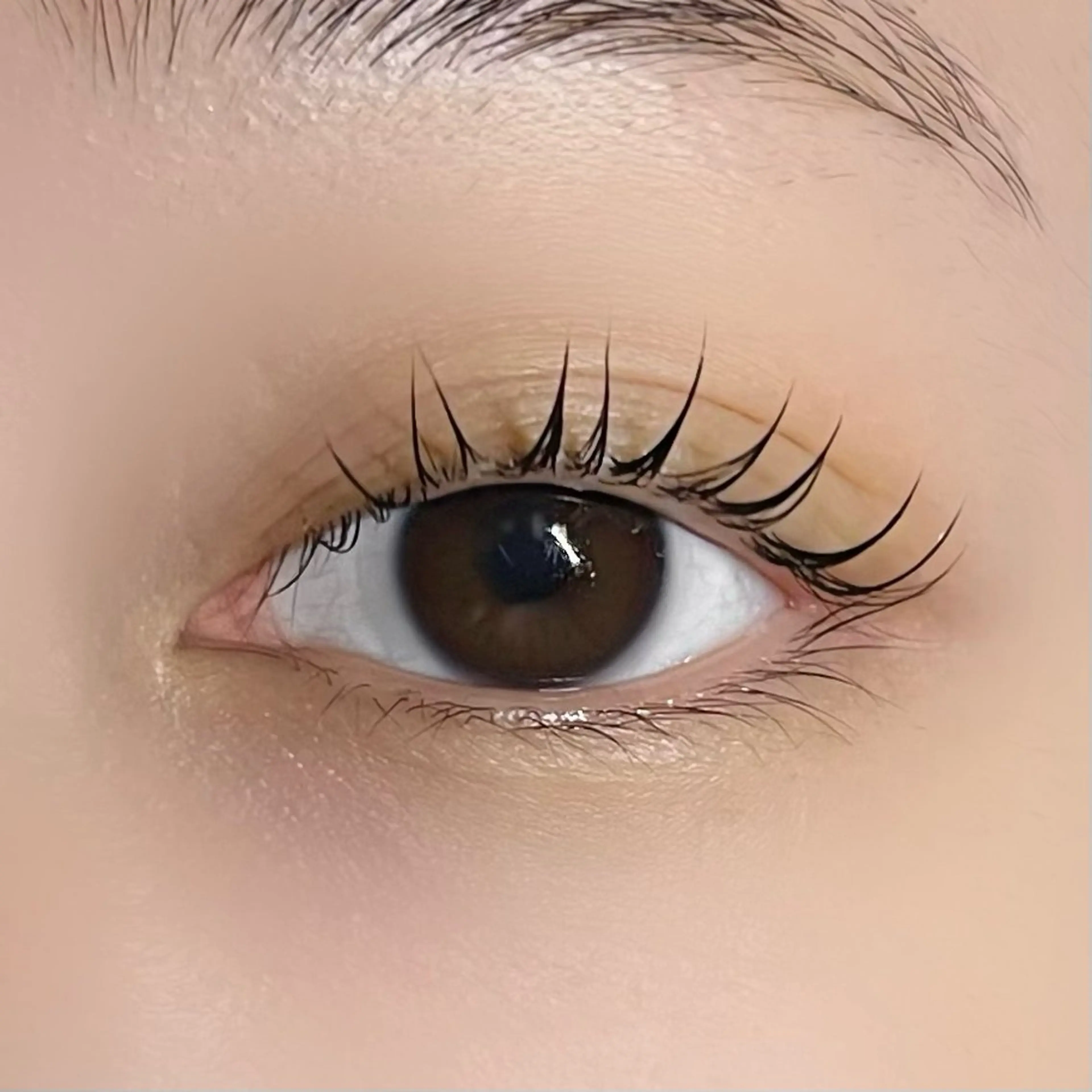 マツエク・マツパ 垢抜け眉WAX専門 ちゅるんまつげ|鎌倉の眉毛・アイブロウイメージ