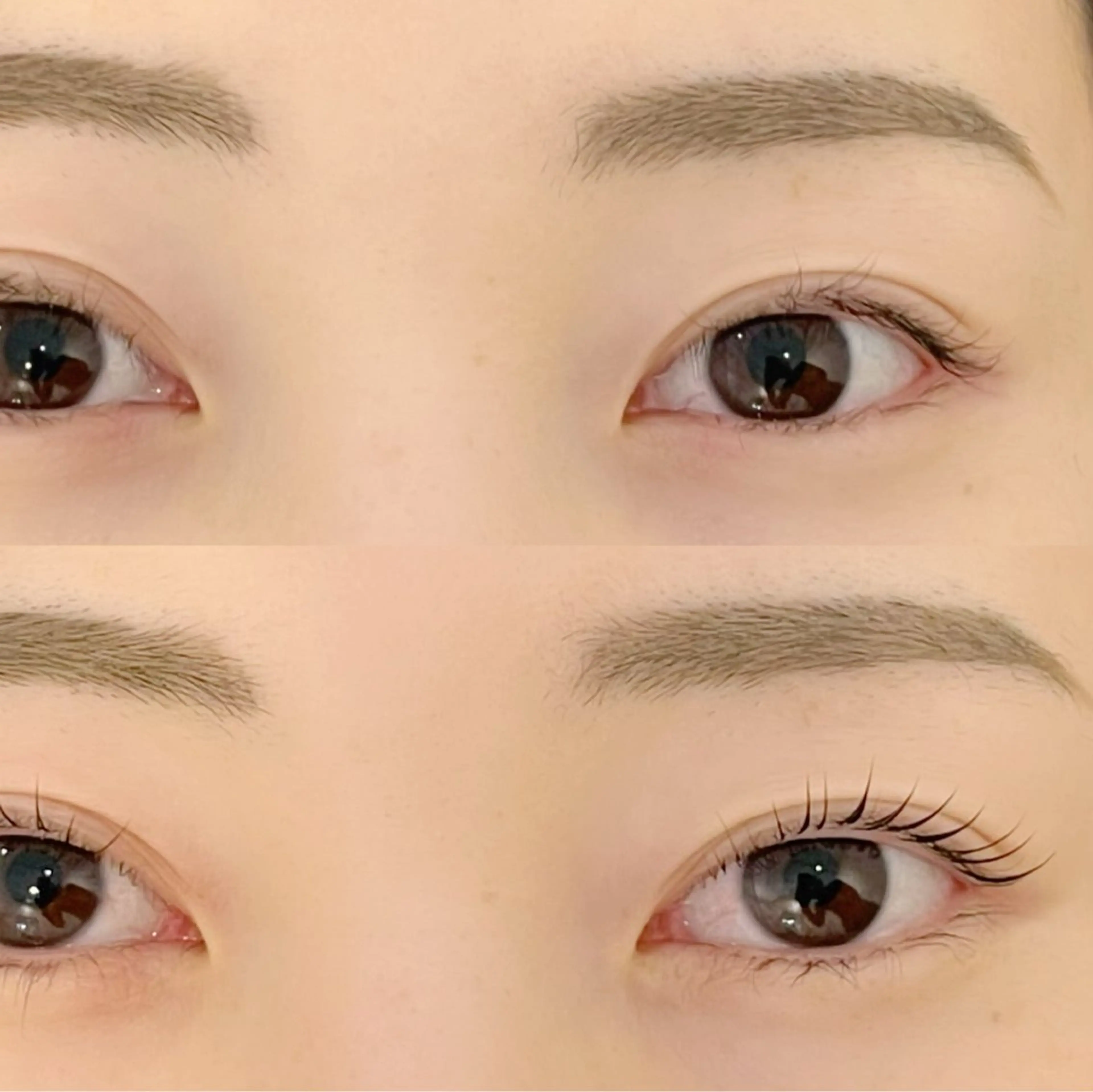 マツエク・マツパ パリジェンヌラッシュリフト まつげパーマ Y.eyelash 赤羽/志茂のマツエク・マツパデザイン