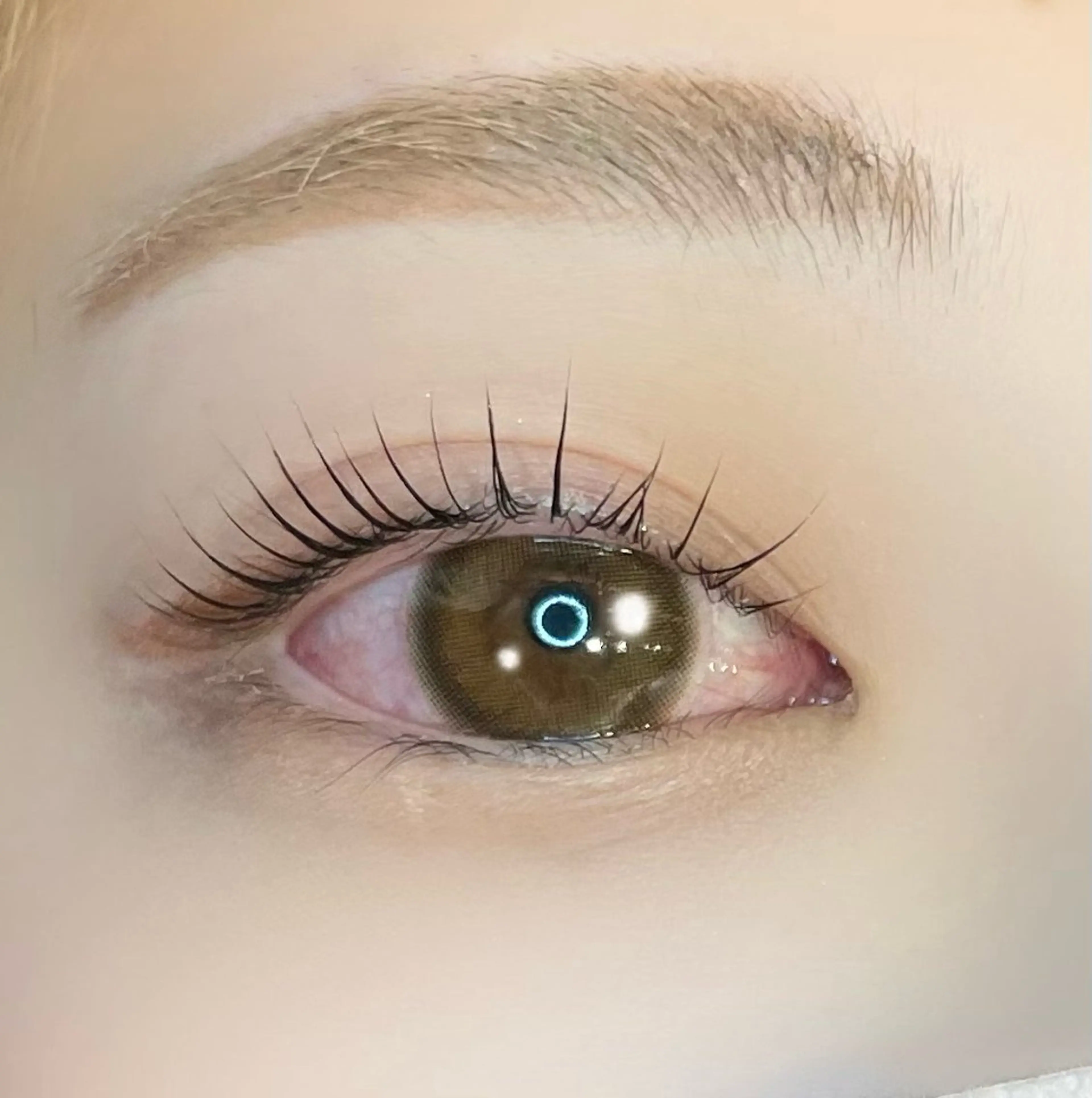 【似合うを見つける眉毛ケア✮*｡ﾟ】🦋アイブロウWAX(眉毛ワックス)🦋の写真