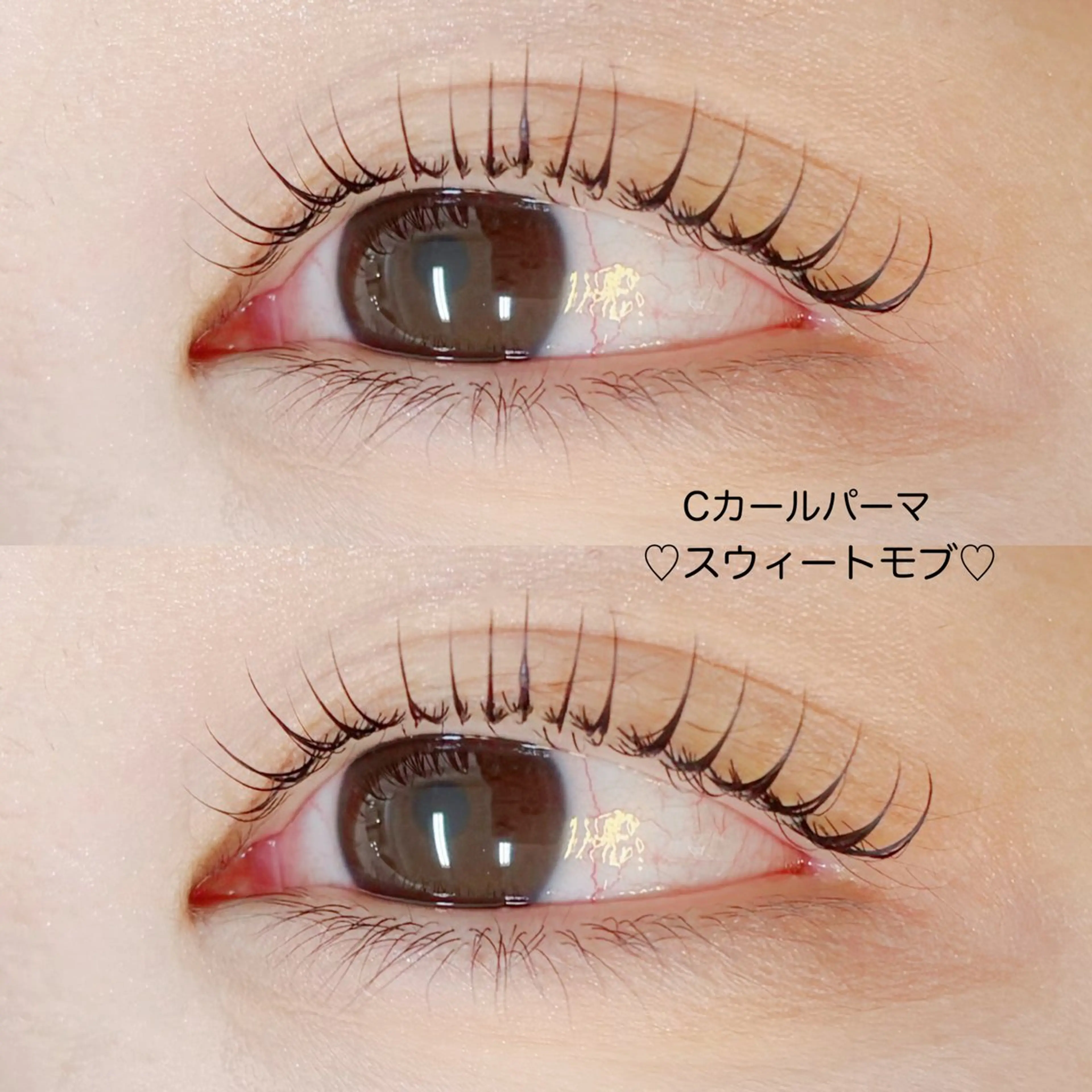 マツエク・マツパ Cカール マリーテレジア 🎀MIKUのマツエク・マツパデザイン