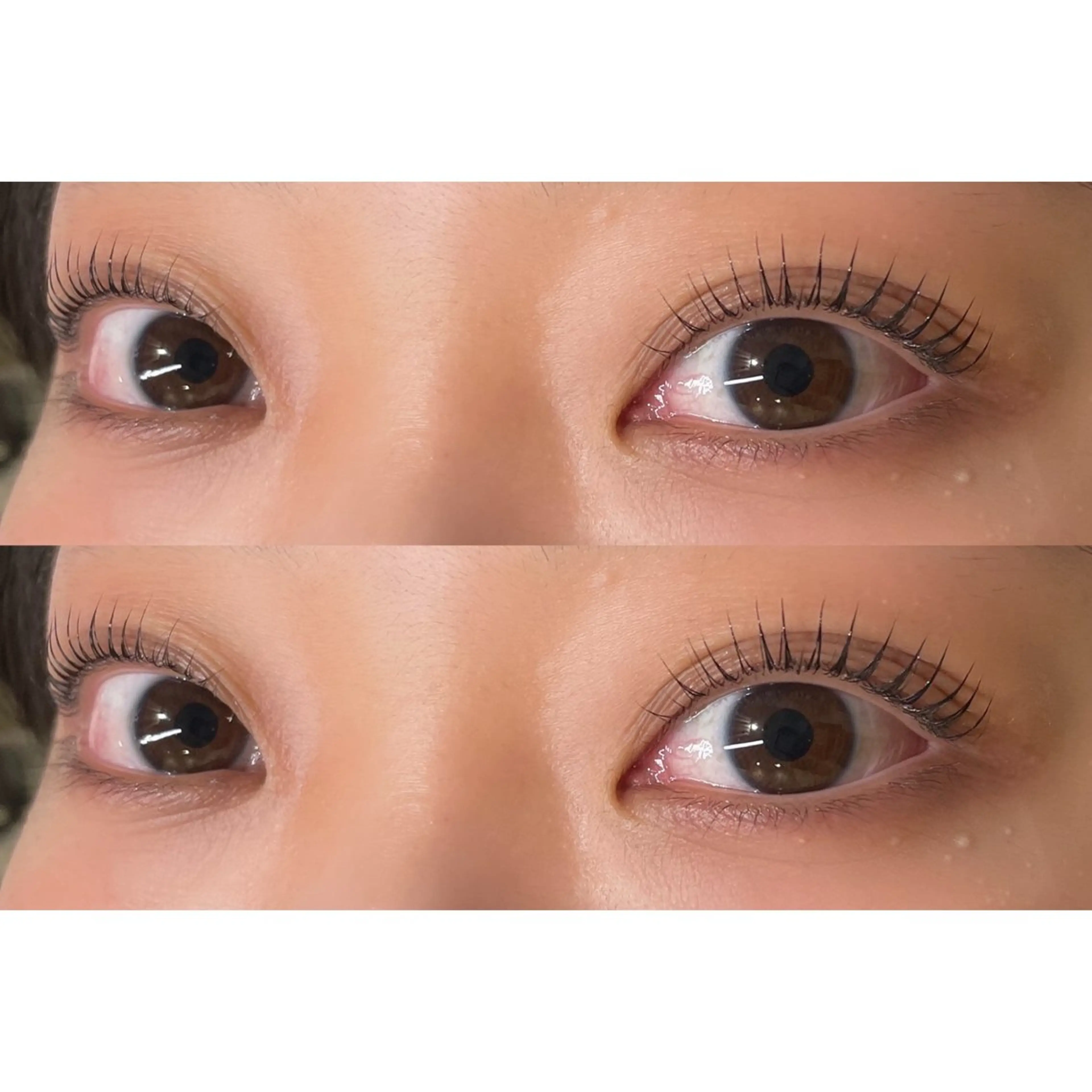 🎀期間限定🎀パリジェンヌラッシュリフトの写真