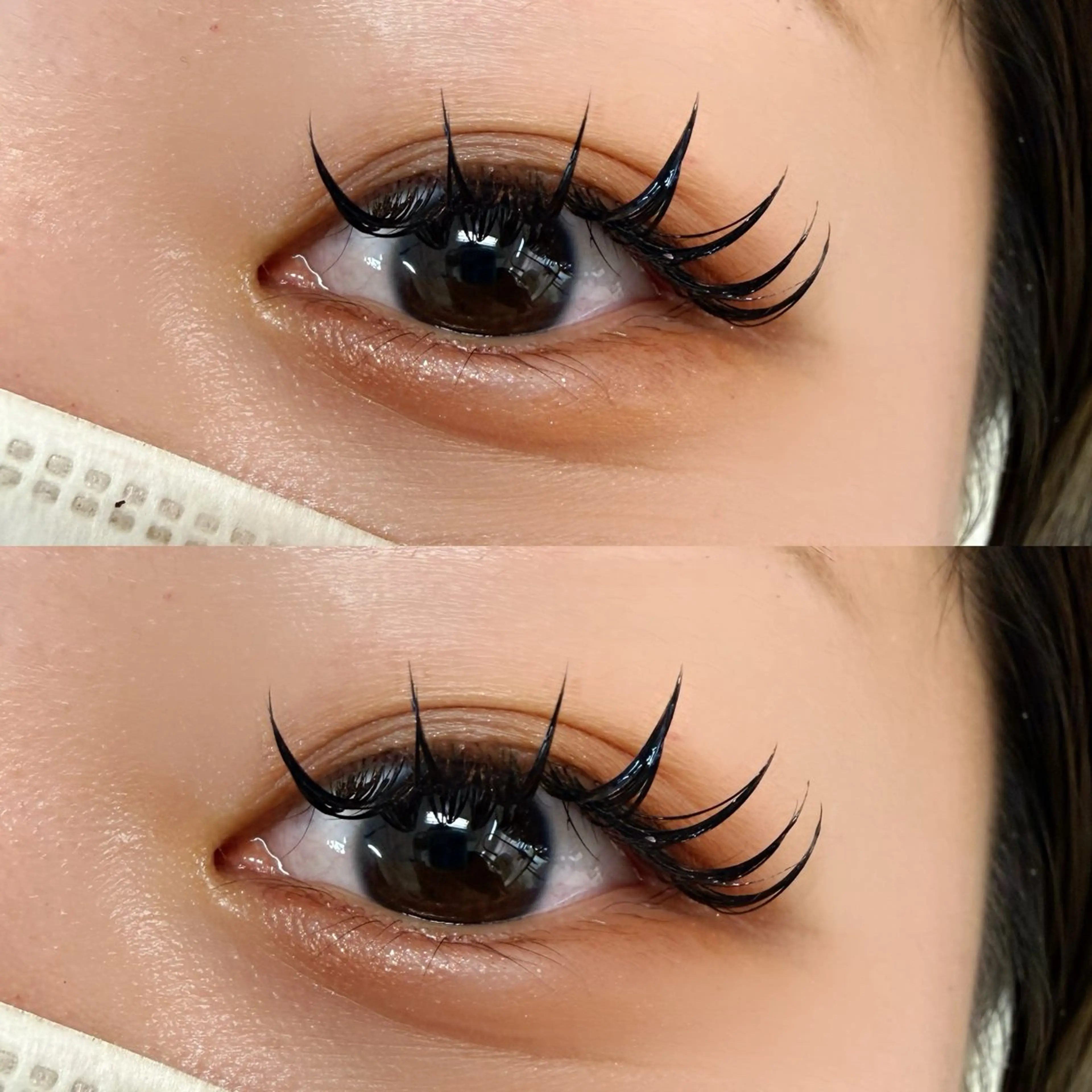 【束間抜群◎コーティング付き♪】話題のバインドロック80本の写真