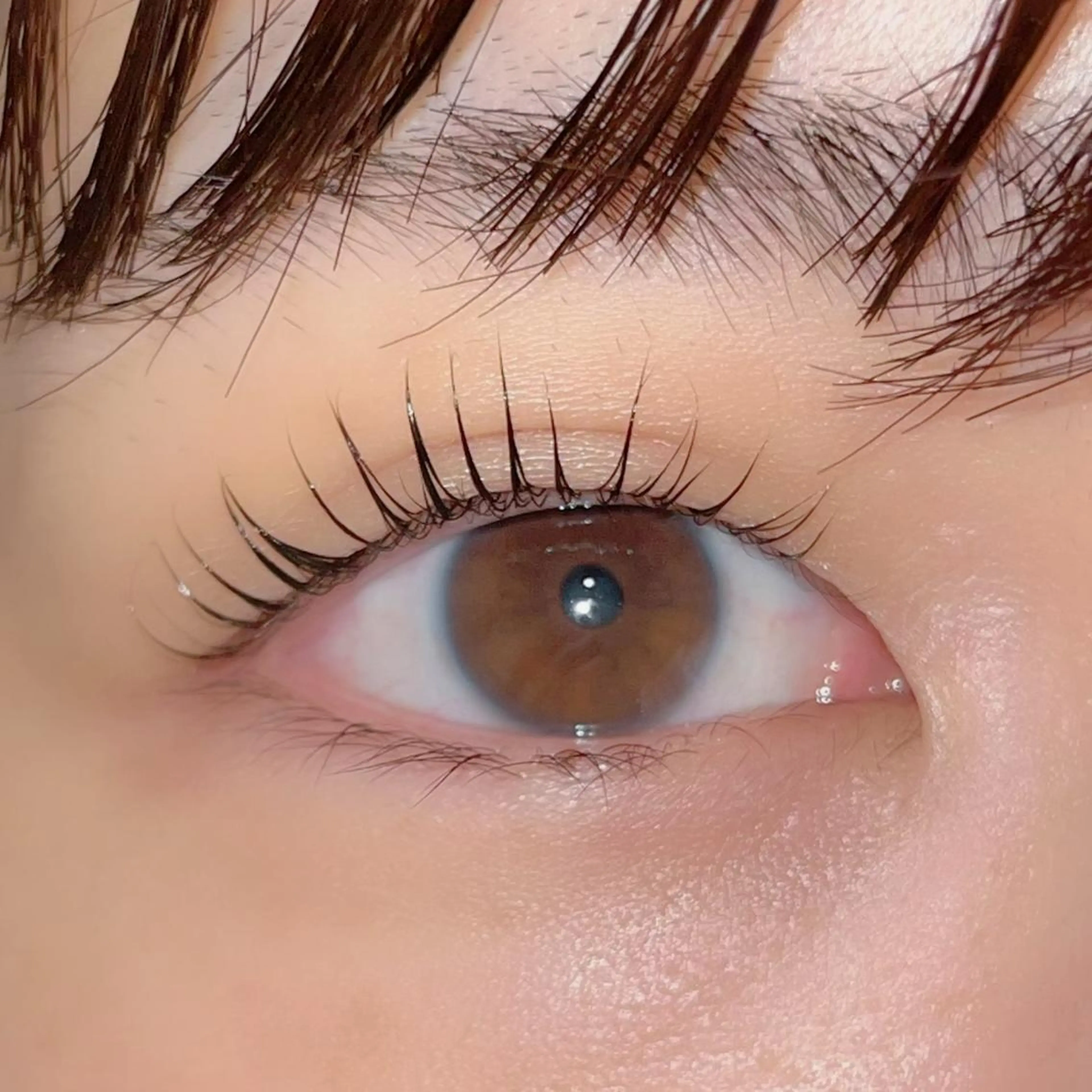 マツエク・マツパ パリジェンヌラッシュリフト まつげパーマ ai一重専門🎀束感 まつげ🫧表参道のマツエク・マツパデザイン