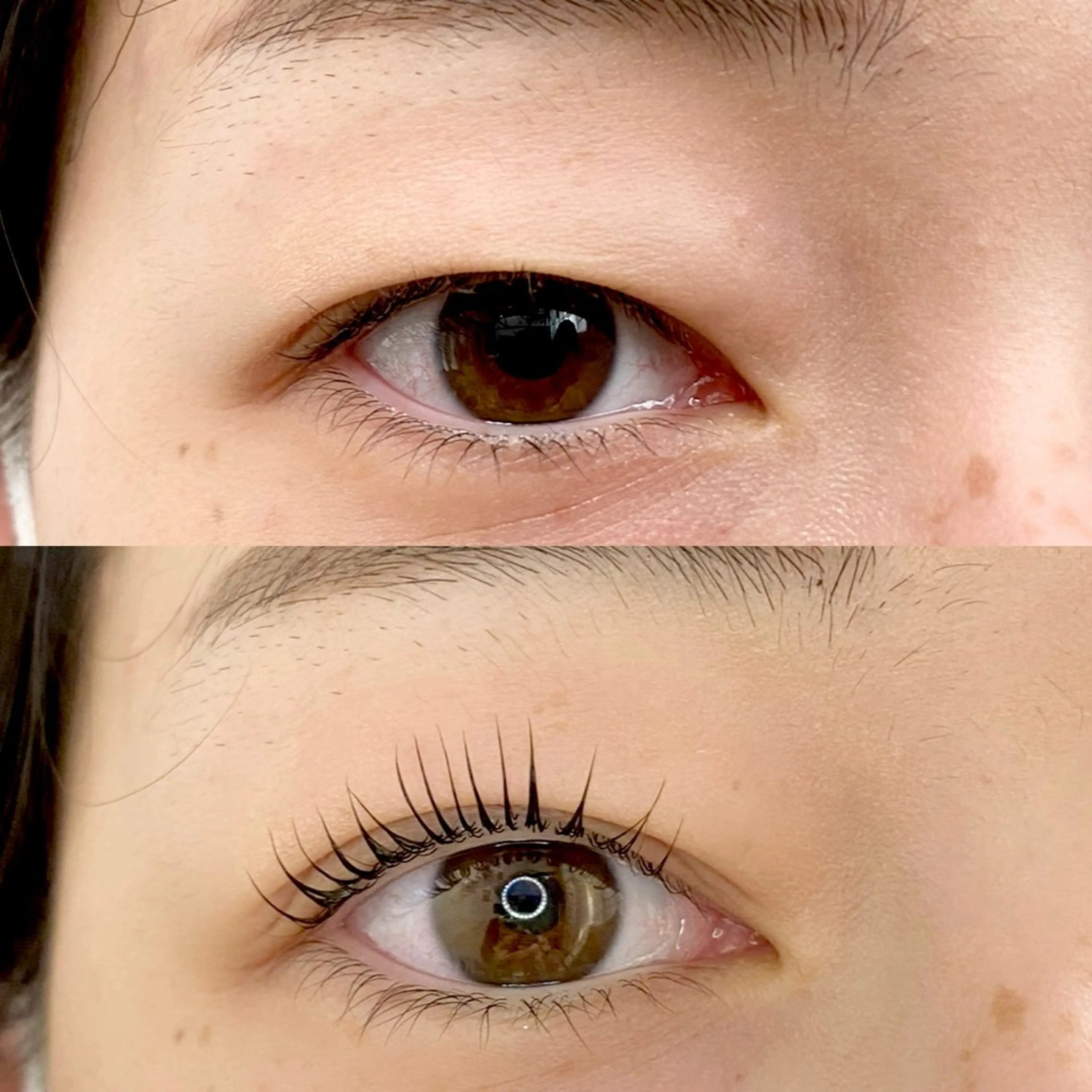 一重さん限定✨まつ毛パーマの写真