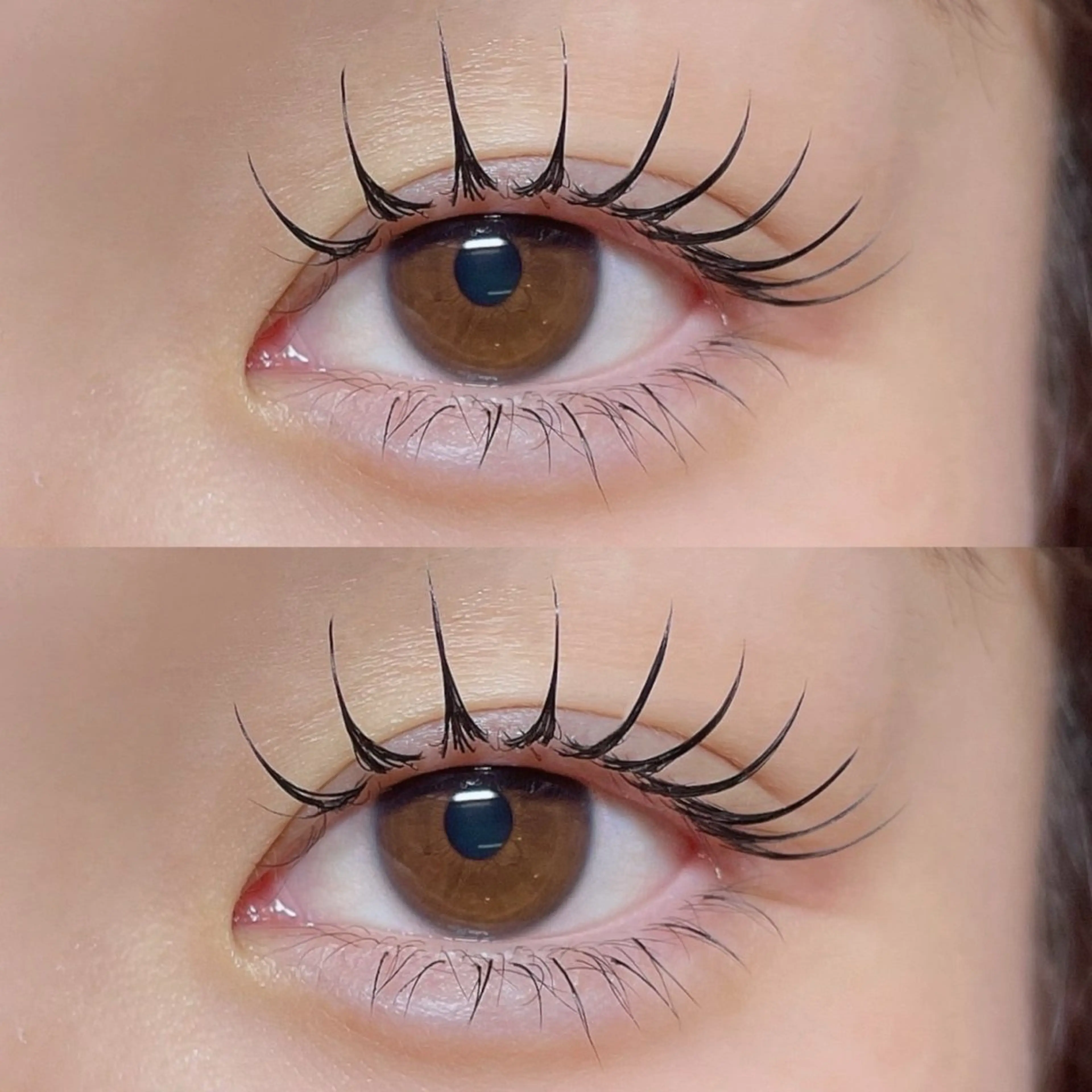 【オフなし】アンドヘルシー「パリエク」🩷フラットラッシュ80本or100本の写真