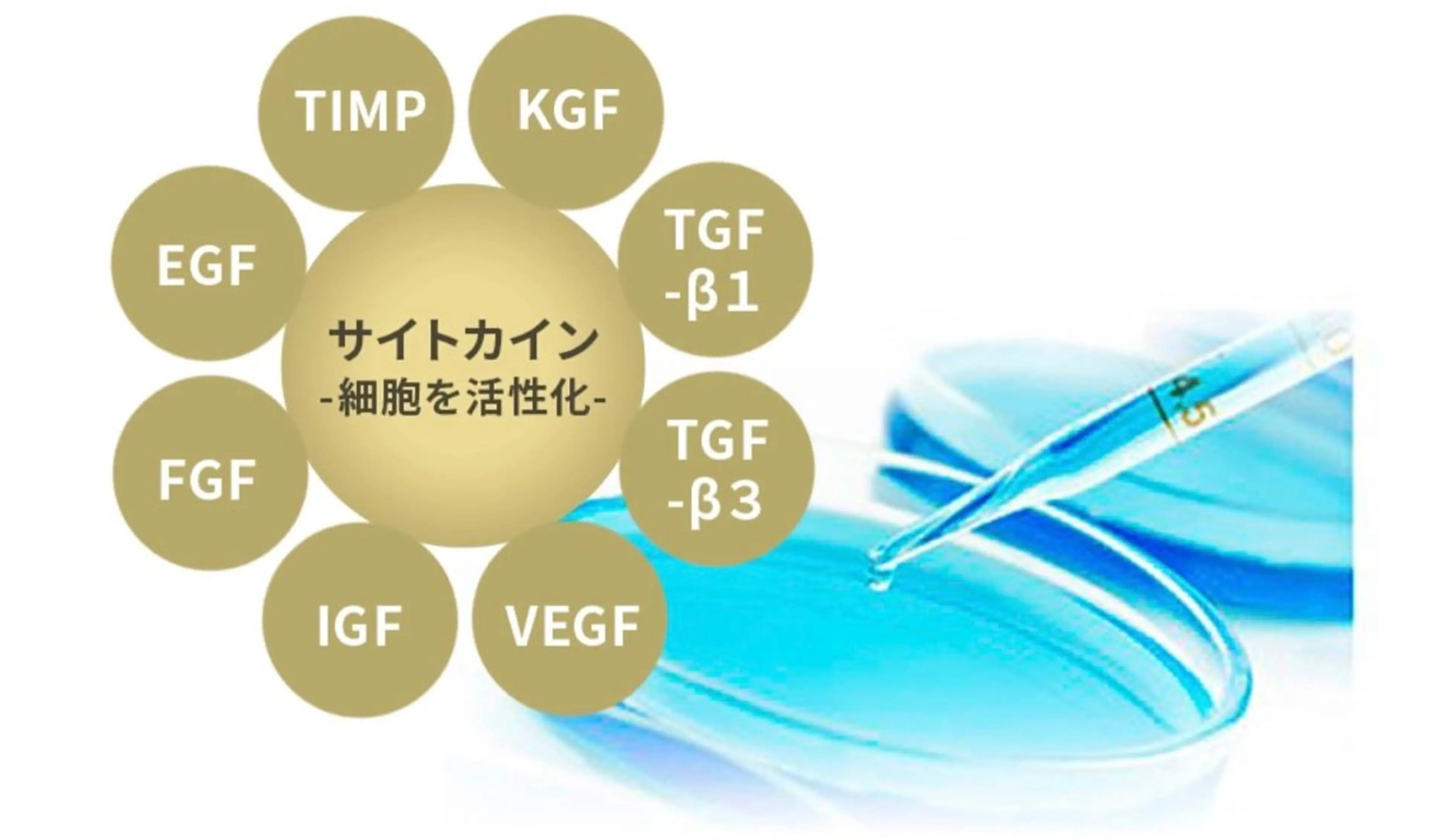 韓国🇰🇷価格 サロン_Nbibiの眉毛・アイブロウイメージ