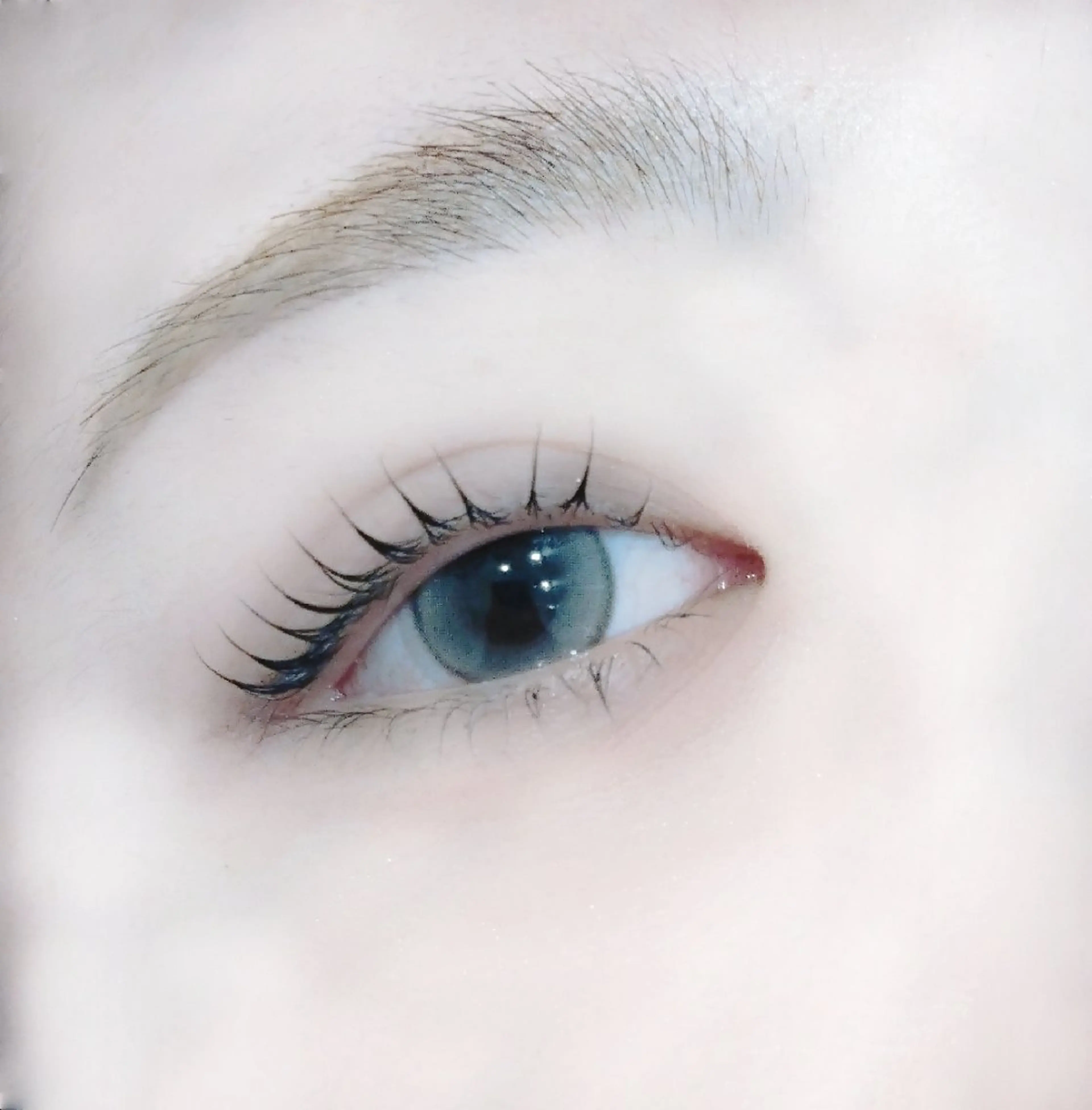 【リピーター様限定♡アイシャンプー付きクーポン🐼】似合わせまつ毛パーマ🍓【メーテル/束感韓国風】の写真