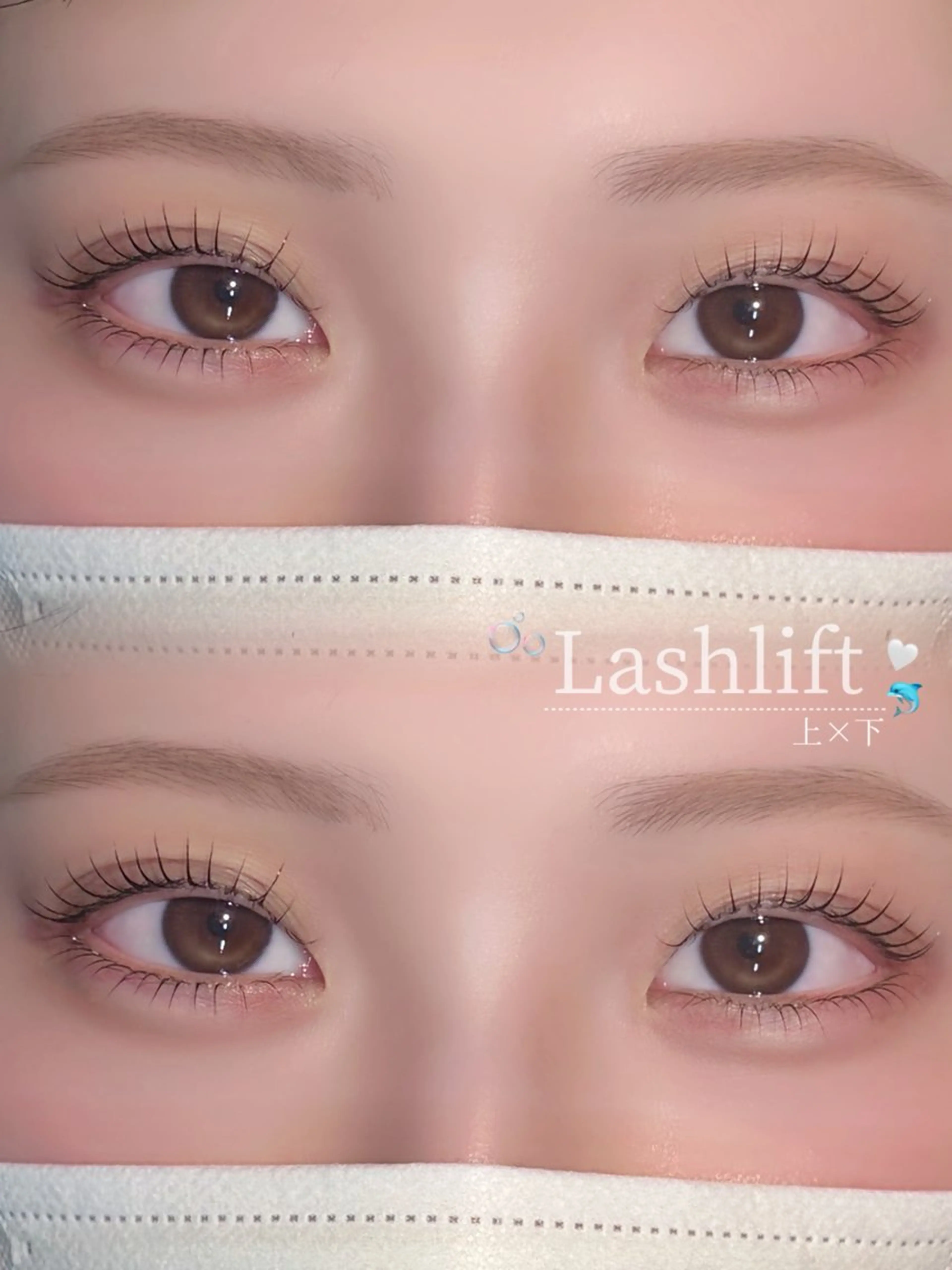 🎀上＋下まつげパーマ🎀 ￥8800の写真