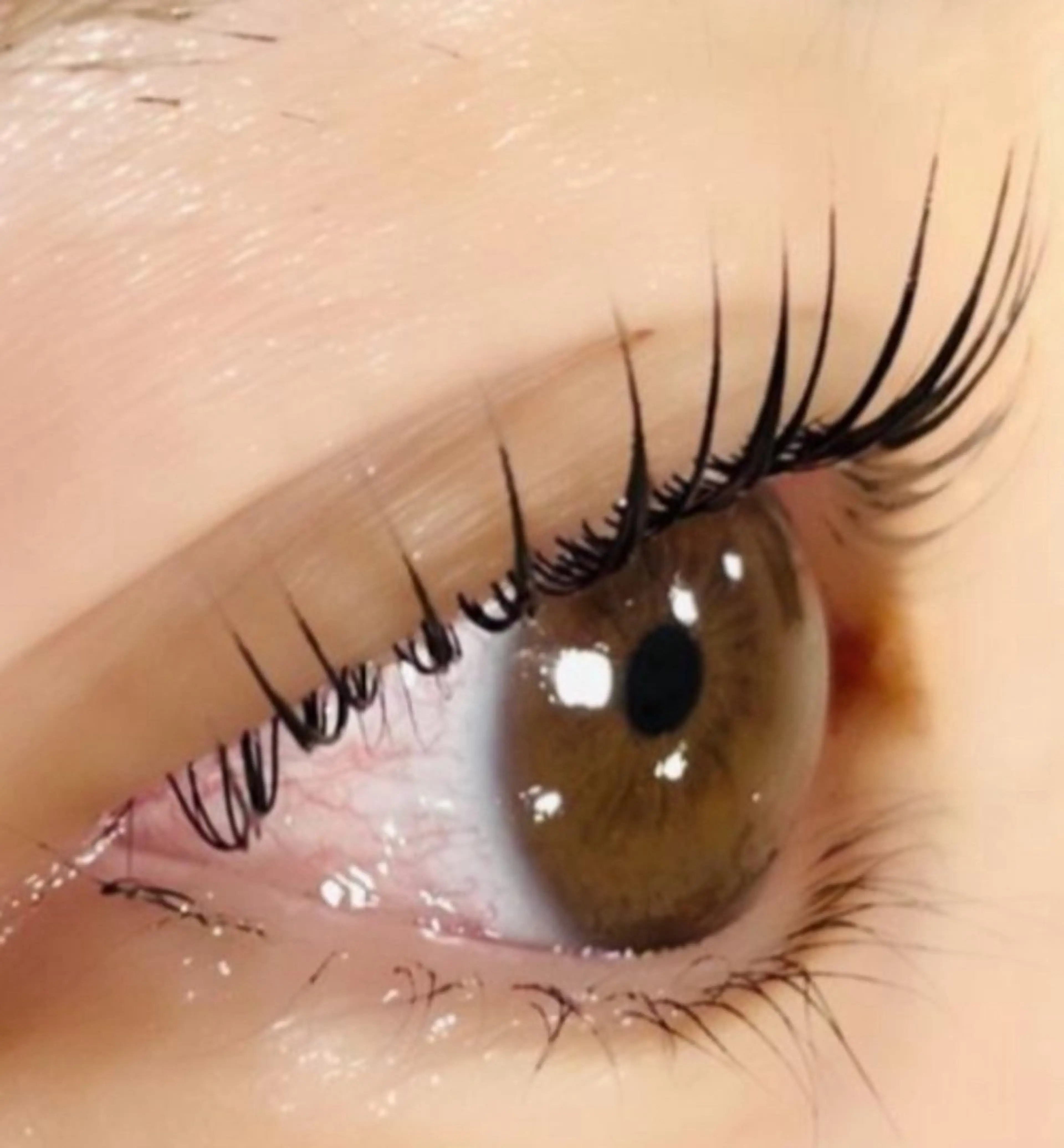 マツエク・マツパ 【マリーテレジア】 TAKITAのマツエク・マツパデザイン