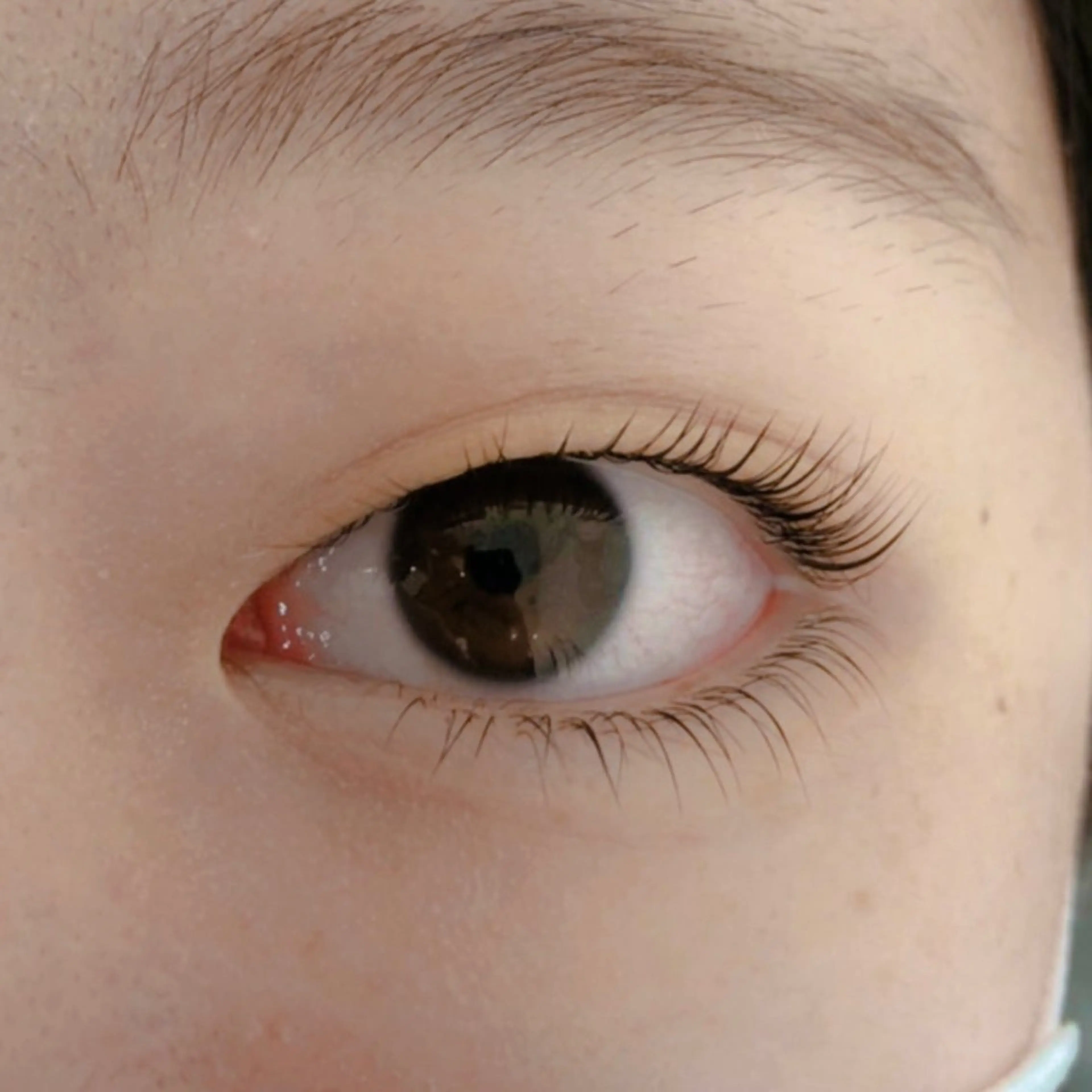 《✨minimo限定価格✨》下まつ毛パーマ🥹✨逆まつげさんにもおすすめ‼️の写真