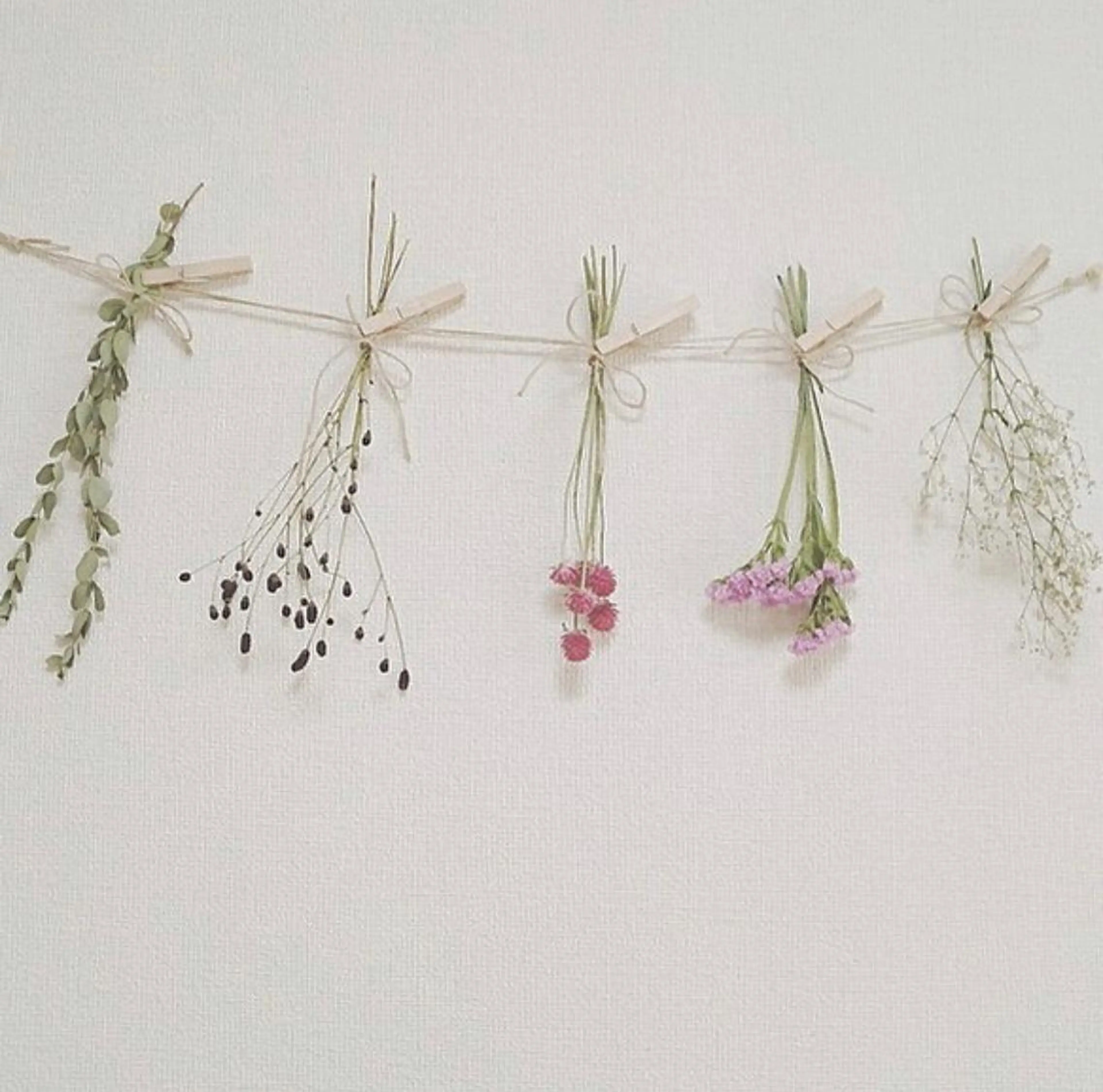 minimo初回限定価格♡オフのみの写真