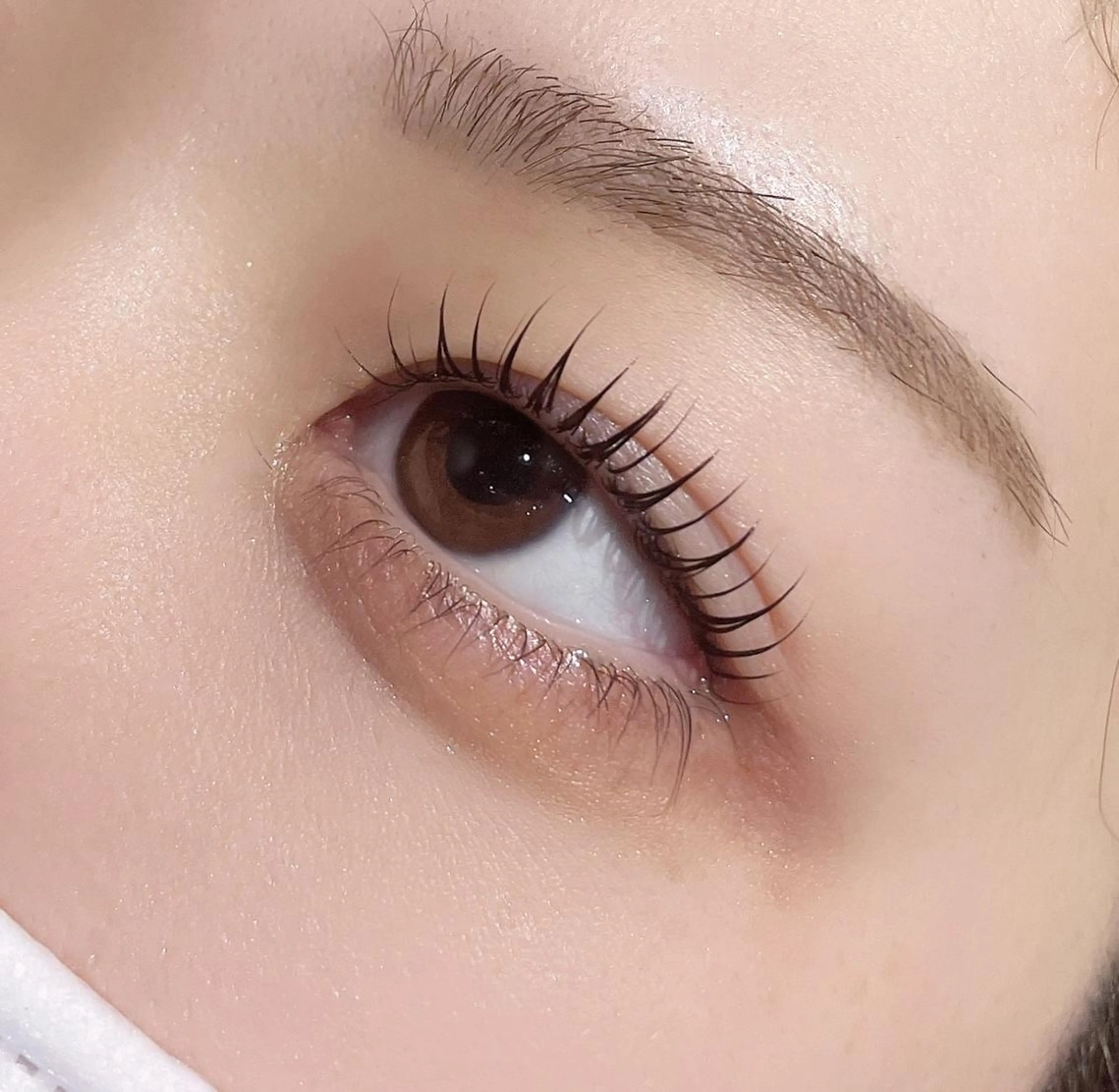 ☆次世代まつ毛パーマ☆ +550円でパリジェンヌに変更可能♪の写真