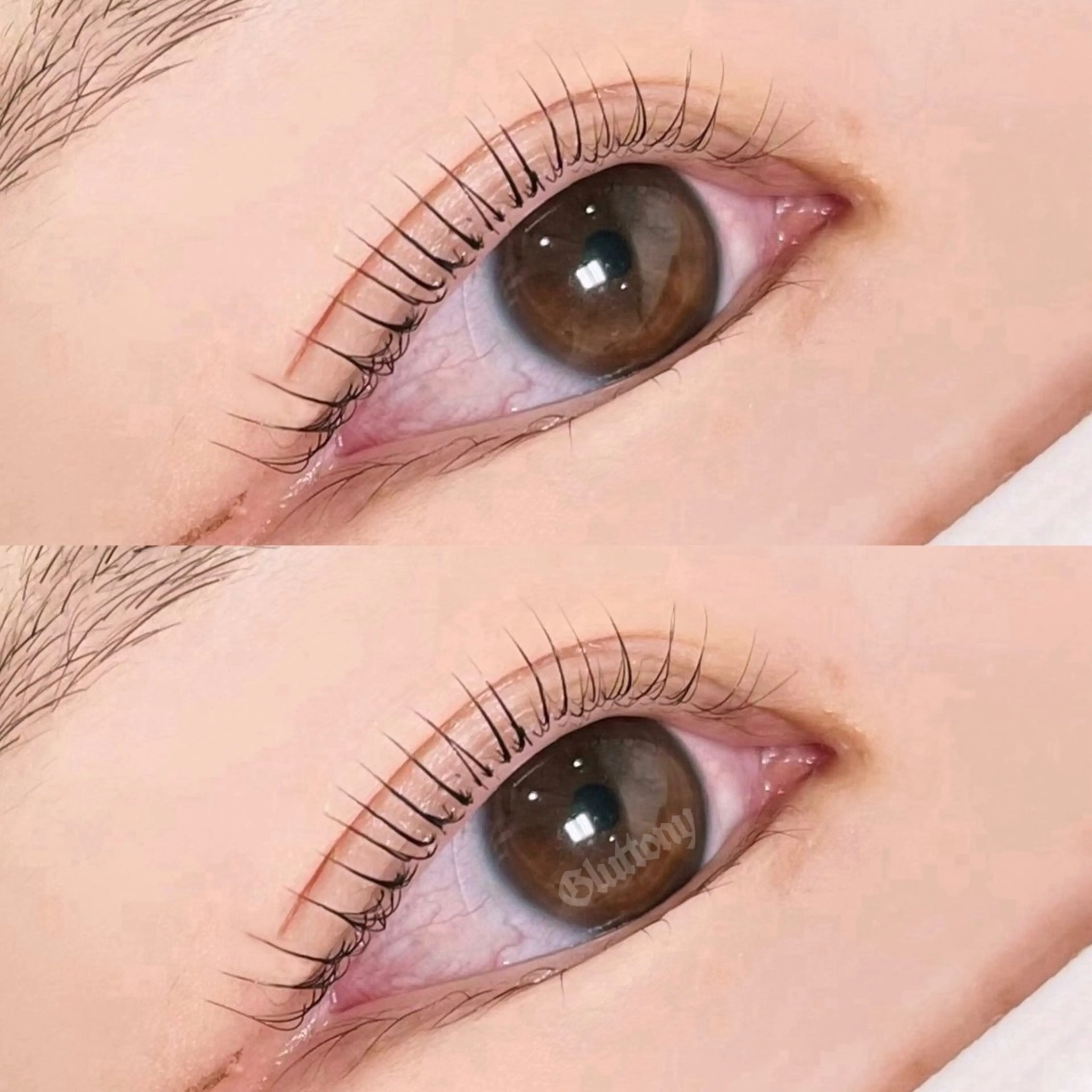 マツエク・マツパ マツパ Gluttony/ ｸﾞﾗﾄﾆｰのマツエク・マツパデザイン