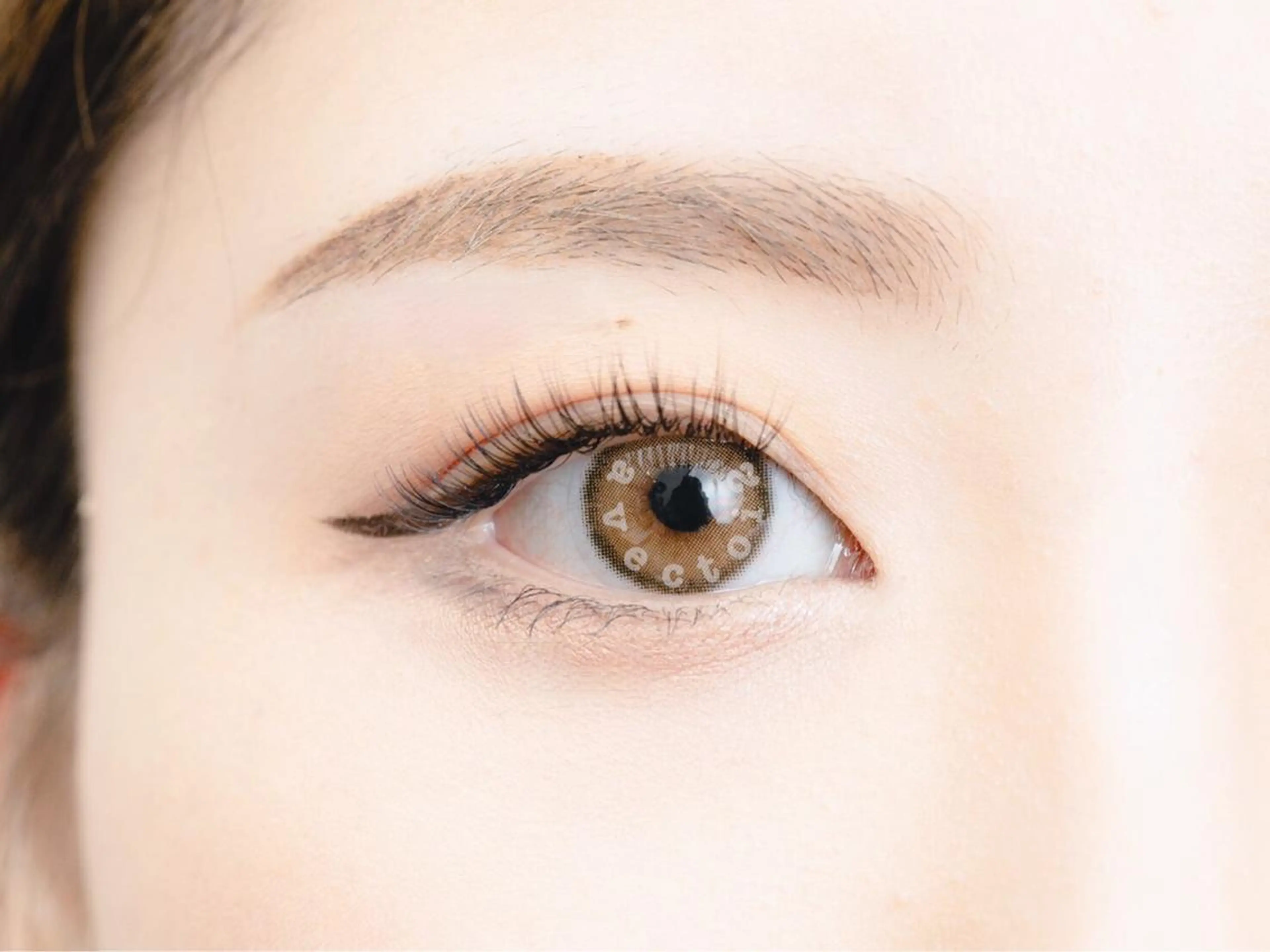 🍀組み合わせOK🍀3セレクトクーポン🍀の写真