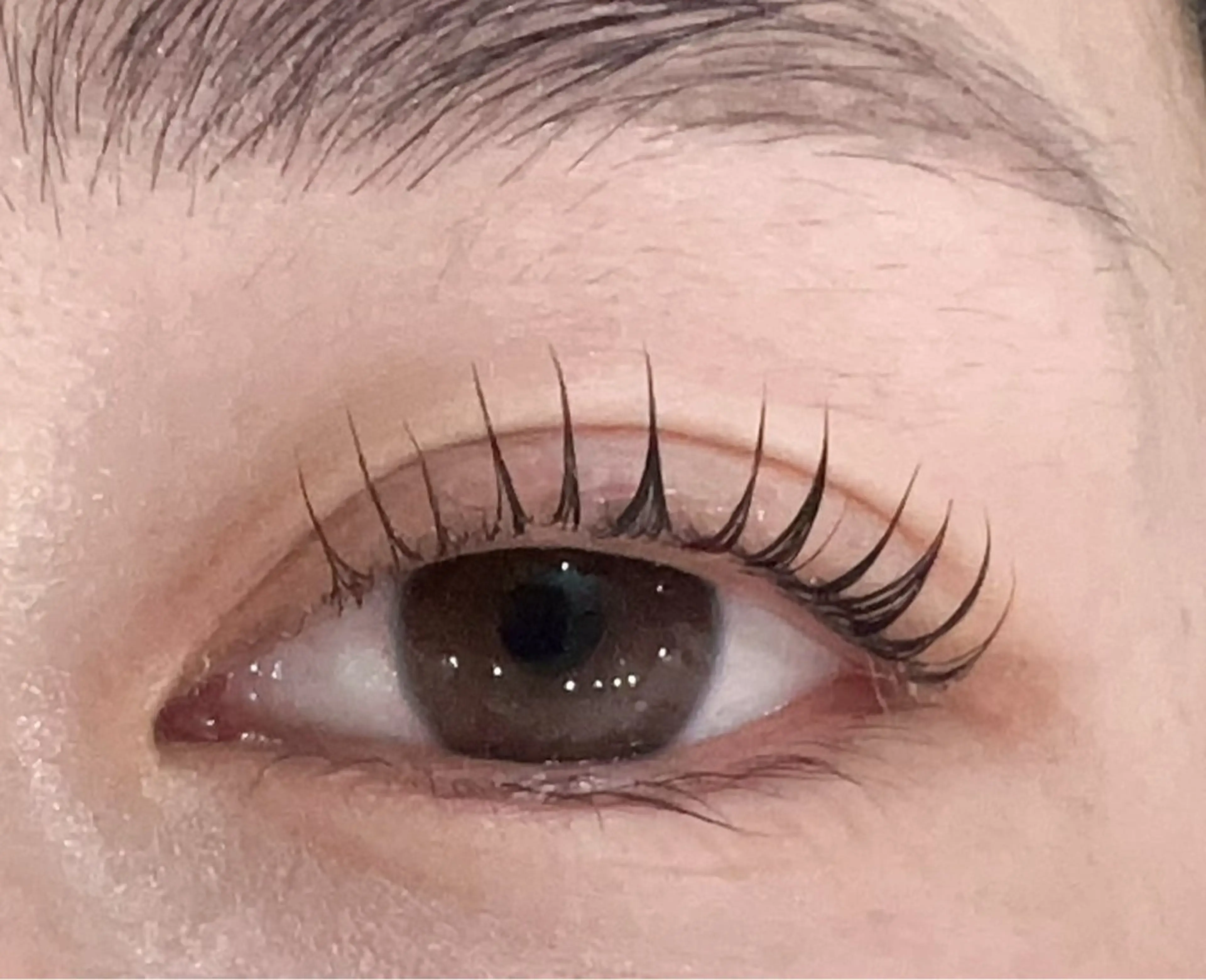 マツエク・マツパ マツパ 大人気🌸ran L ED専門店/パリエクのマツエク・マツパデザイン