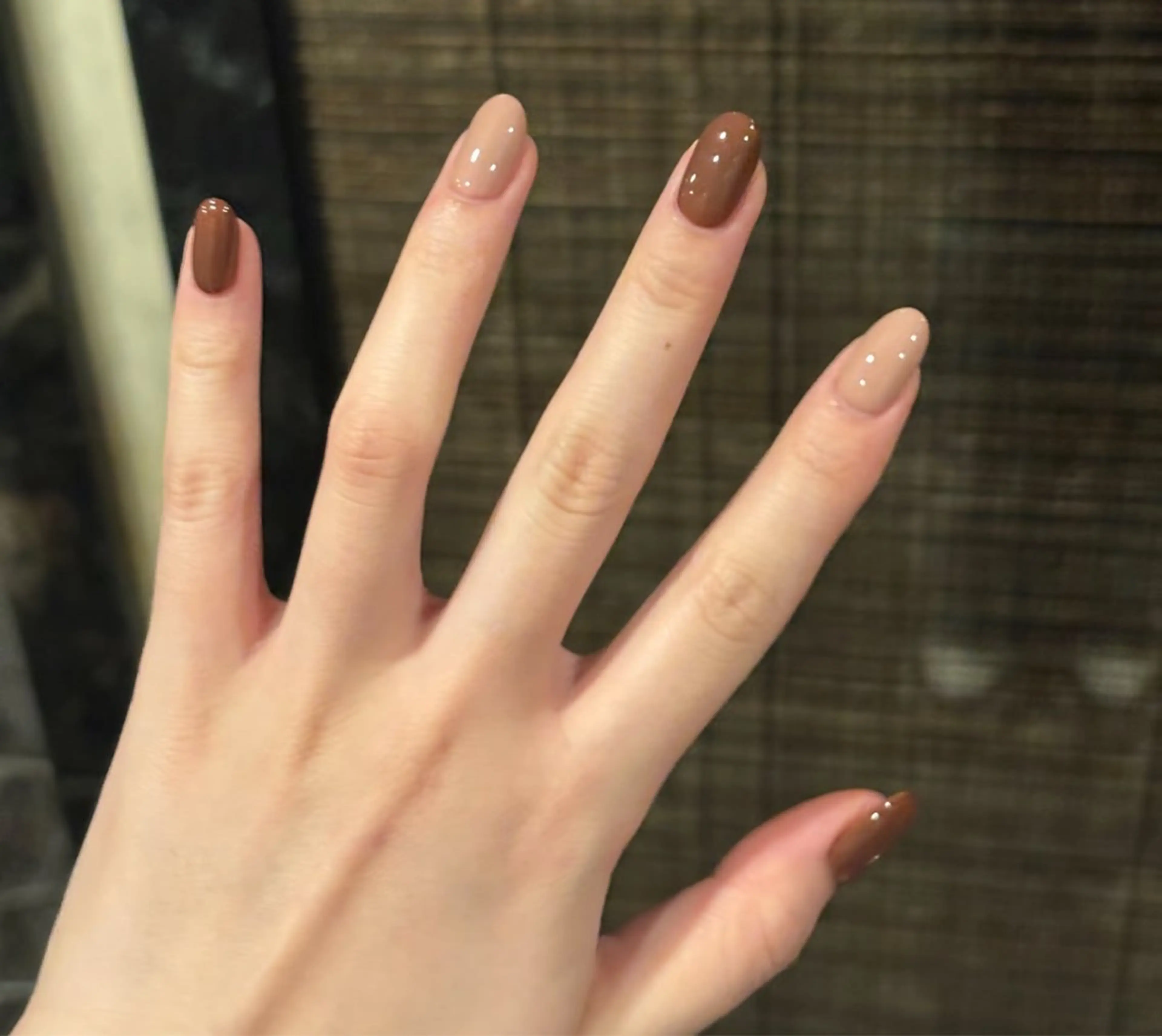 ワンカラー　　2色￥4700の写真