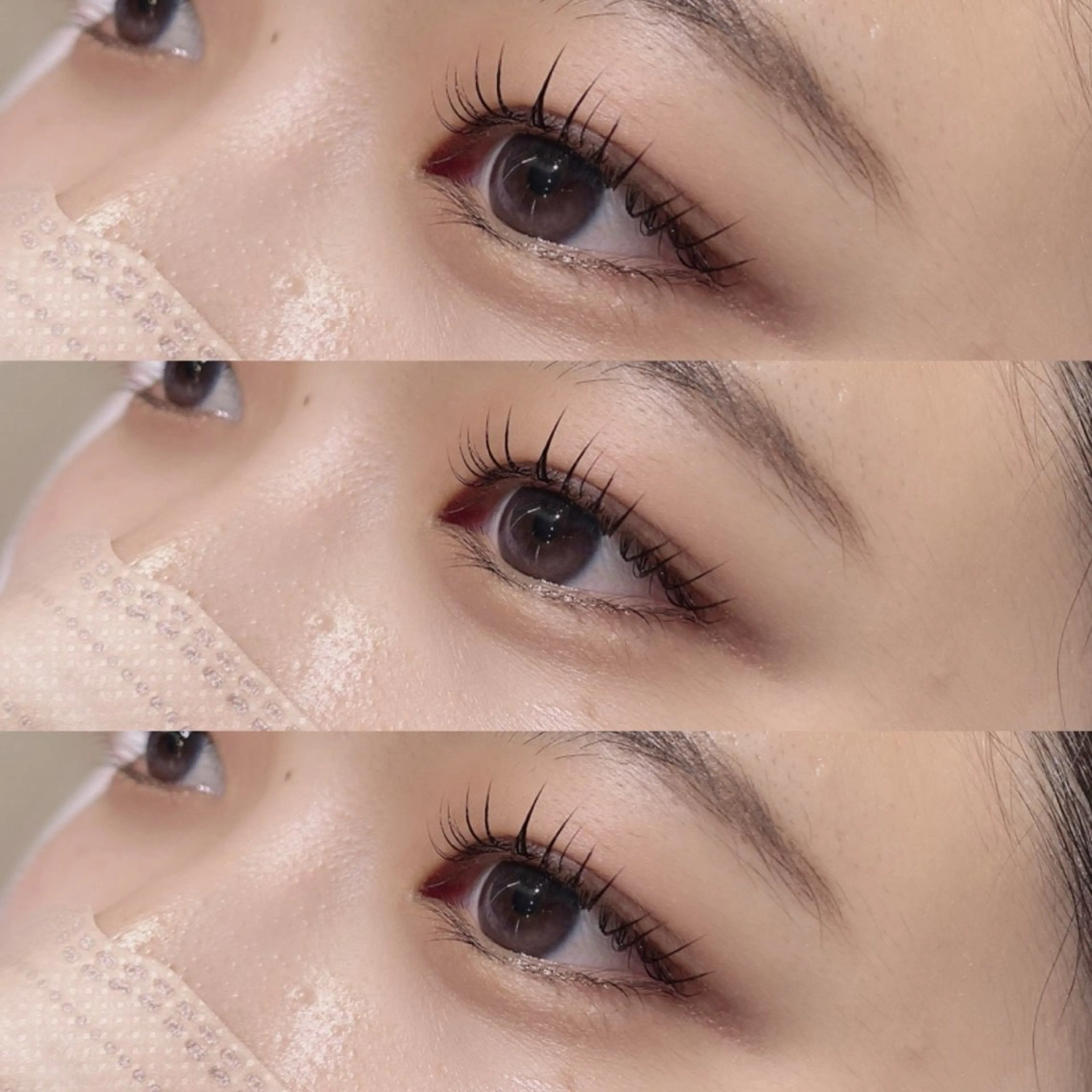 (UR30女性限定)まつ毛パーマ 美容コーティング付き🪽4/11 19:30~限定🦋✨の写真