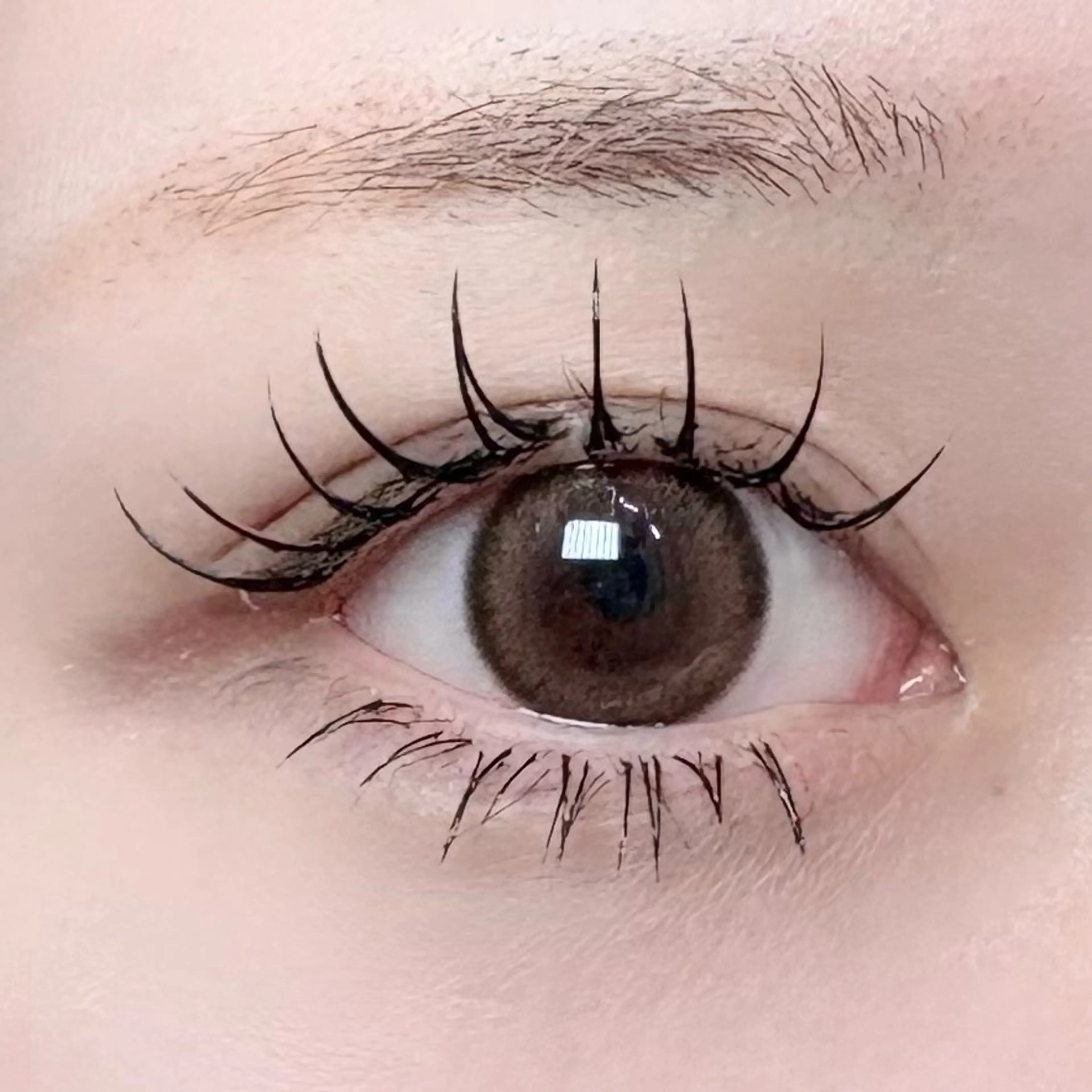 マツエク・マツパ マツエク Seek🎀 Aoiのヘアスタイル