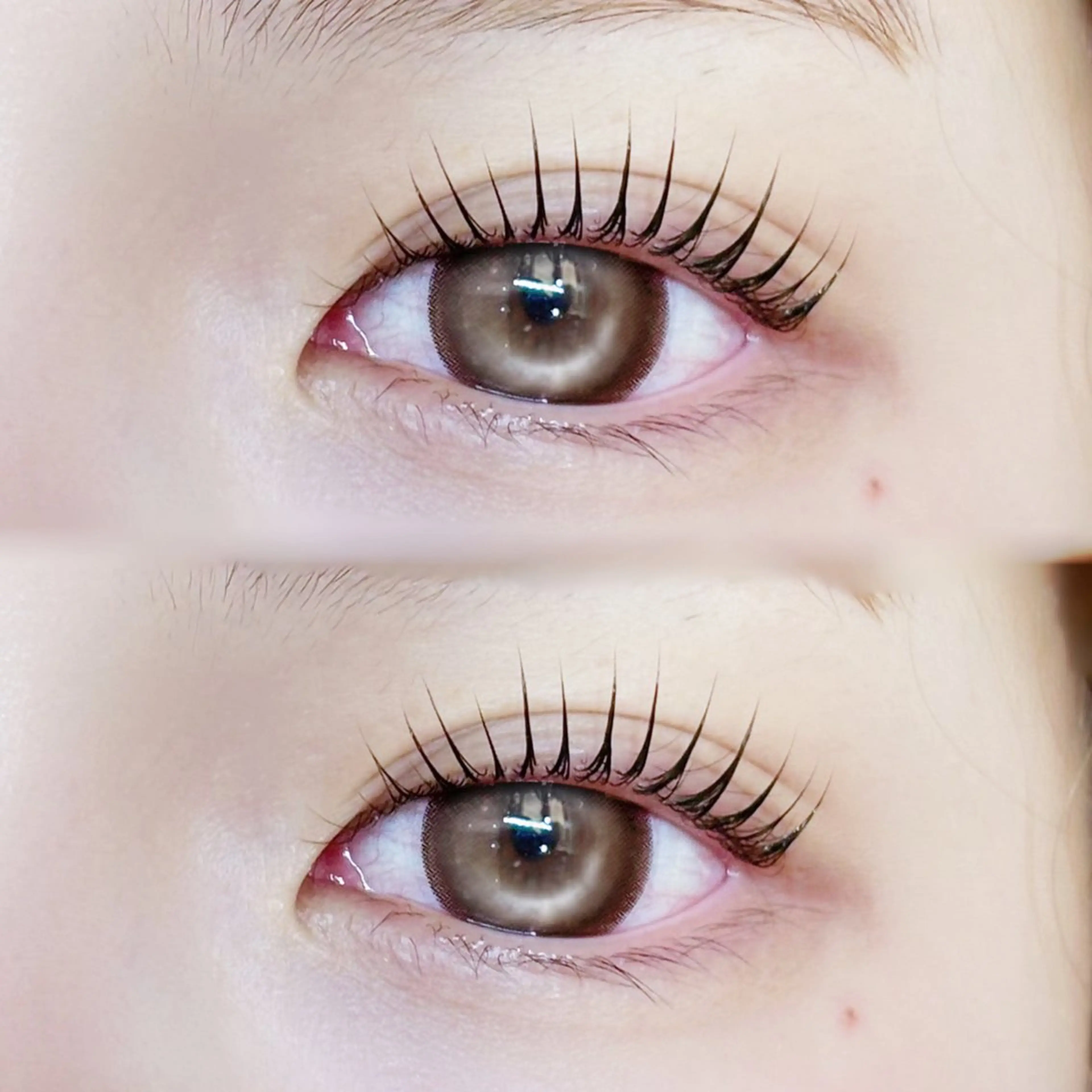 マツエク・マツパ パリジェンヌラッシュリフト eyelist🎀 FUCHIWAKIのマツエク・マツパデザイン