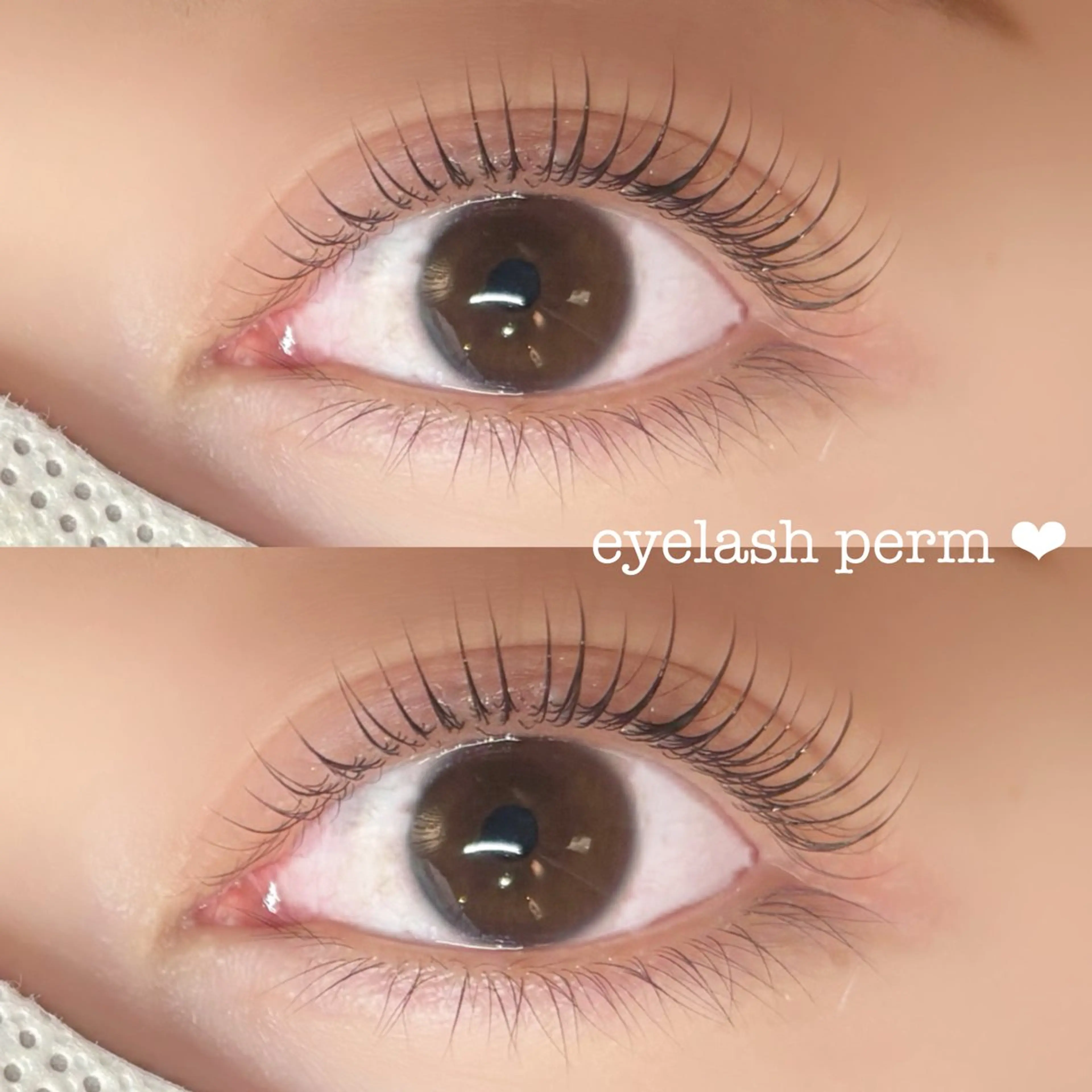 【まつげパーマ】の写真