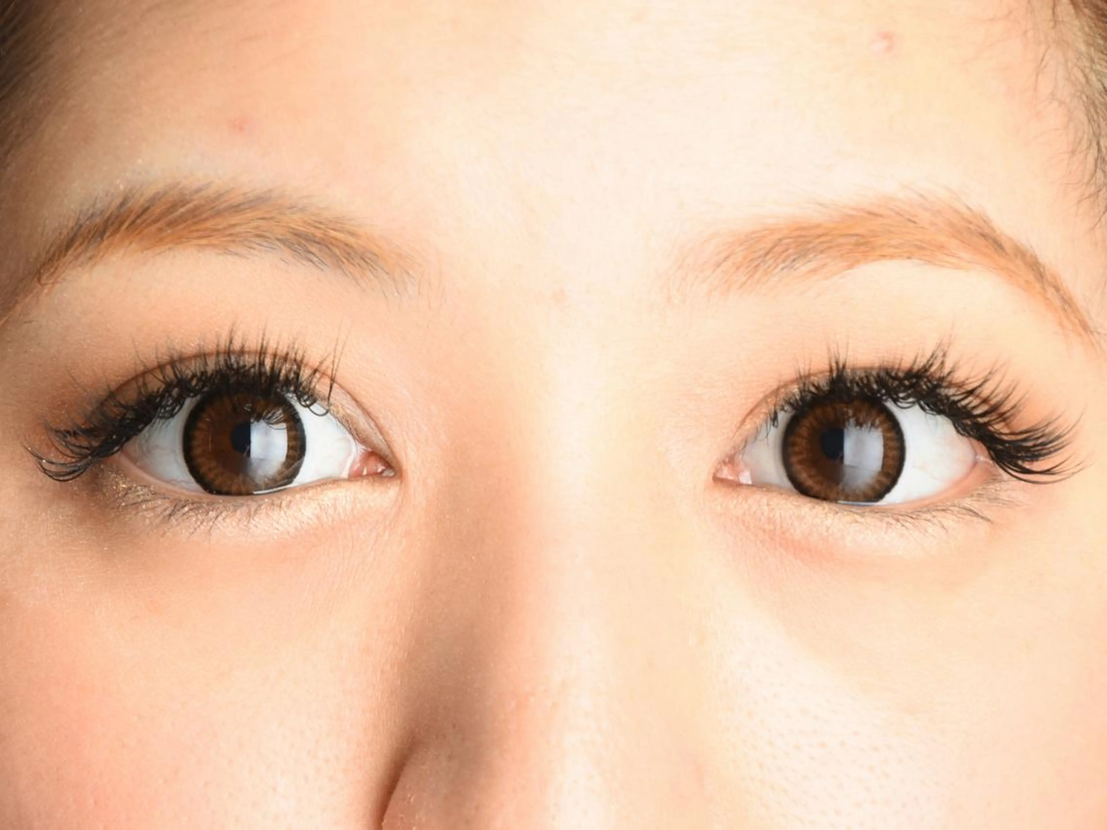 3Dラッシュつけ放題 コーティング付の写真