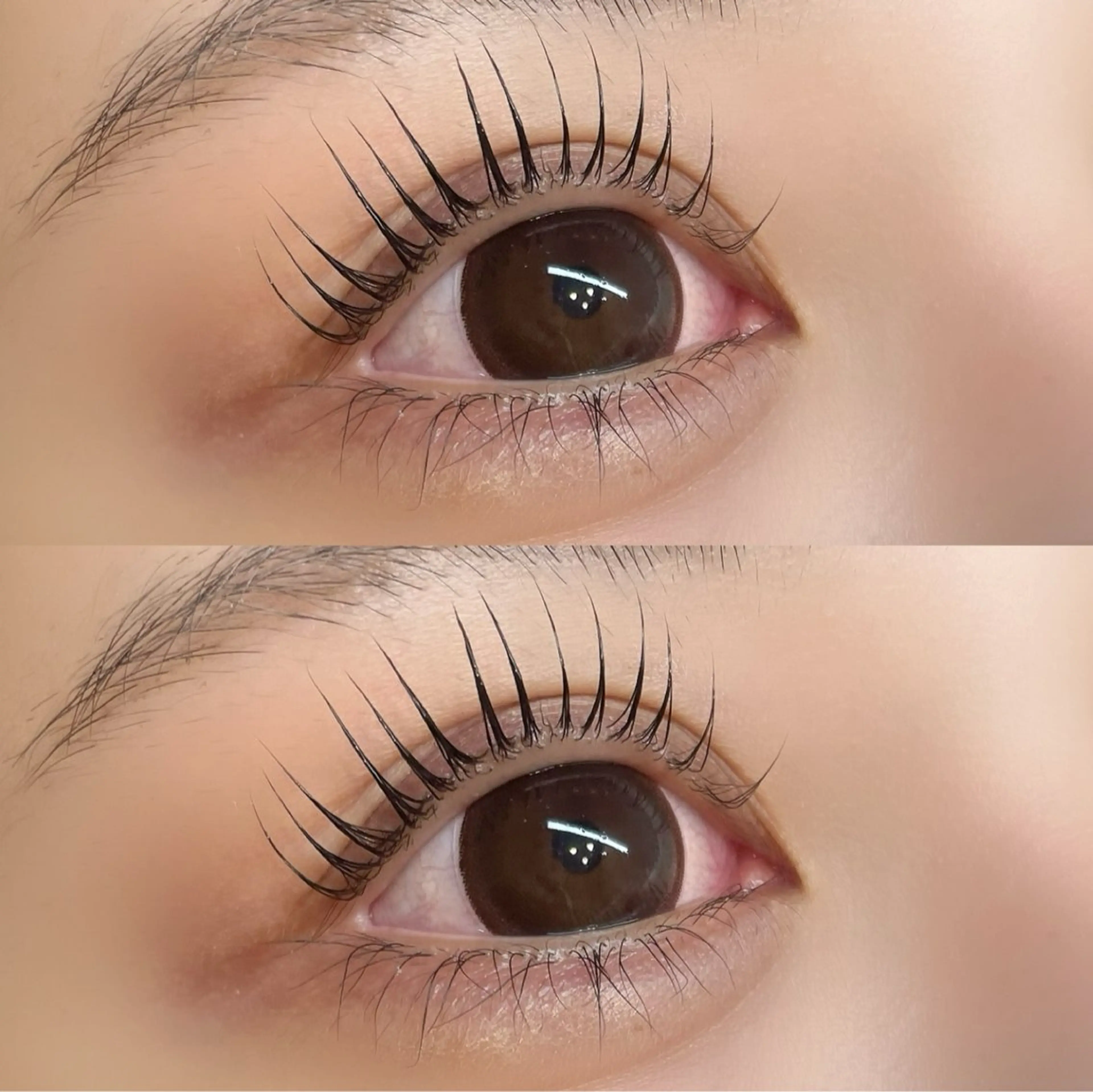 マツエク・マツパ パリジェンヌラッシュリフト マツパ Lumina yutoriのマツエク・マツパデザイン