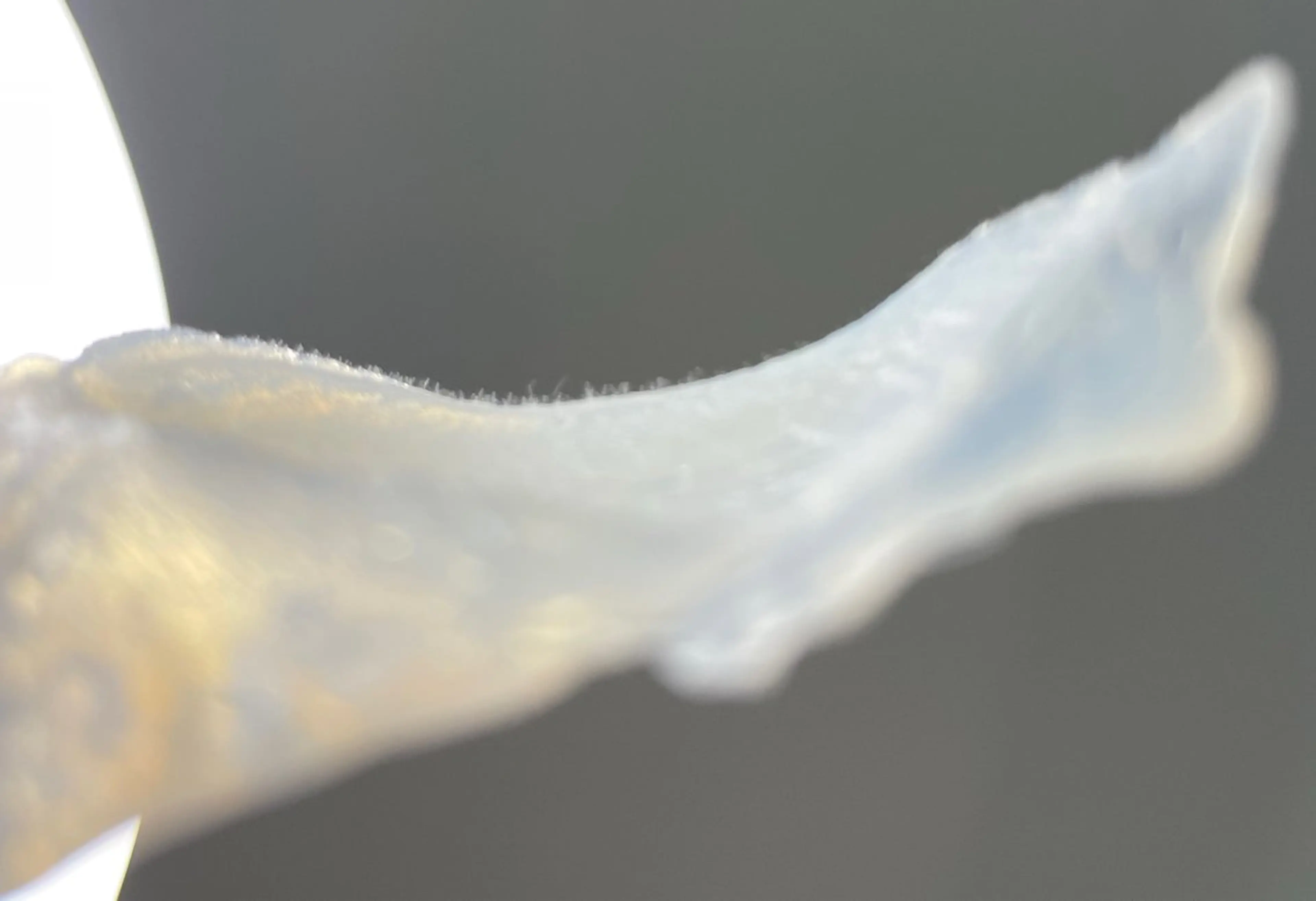 Salon de me'reのエステ・リラクイメージ