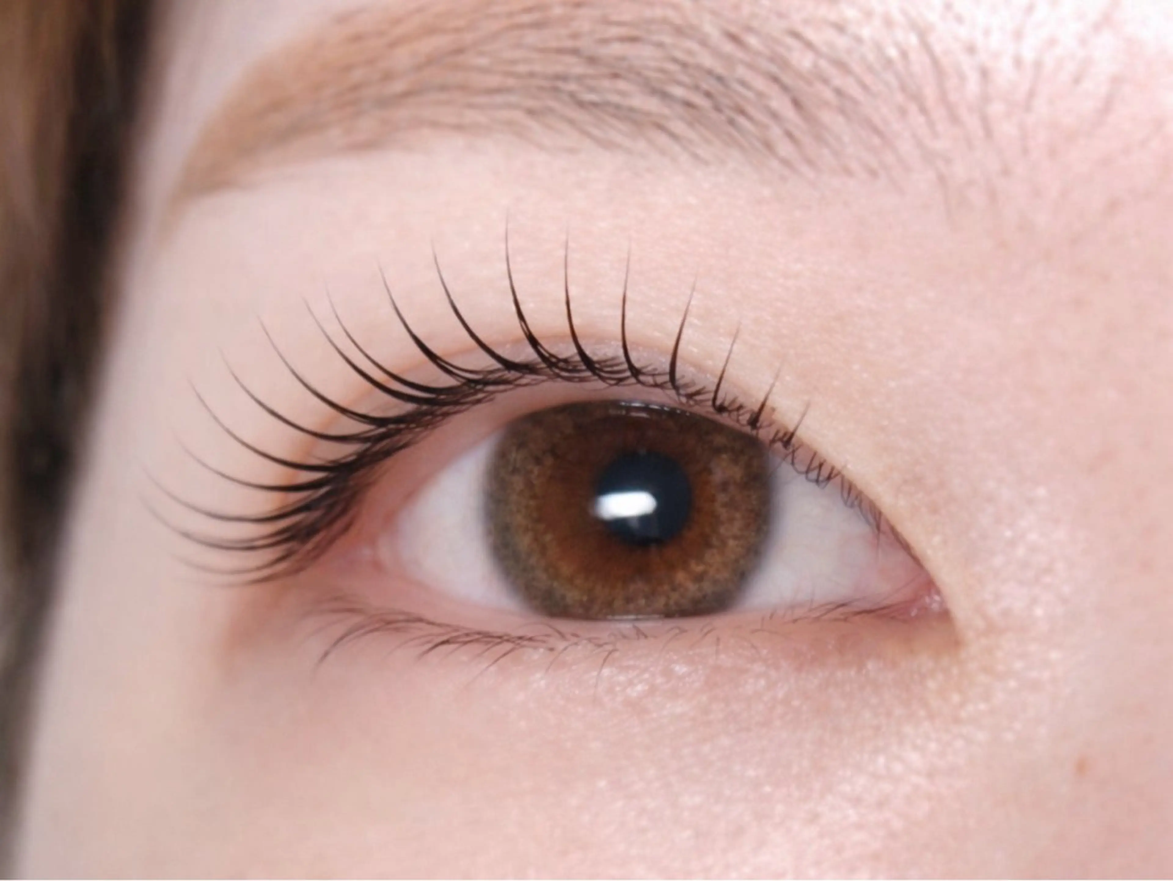 マツエク・マツパ Melia Chieのマツエク・マツパデザイン