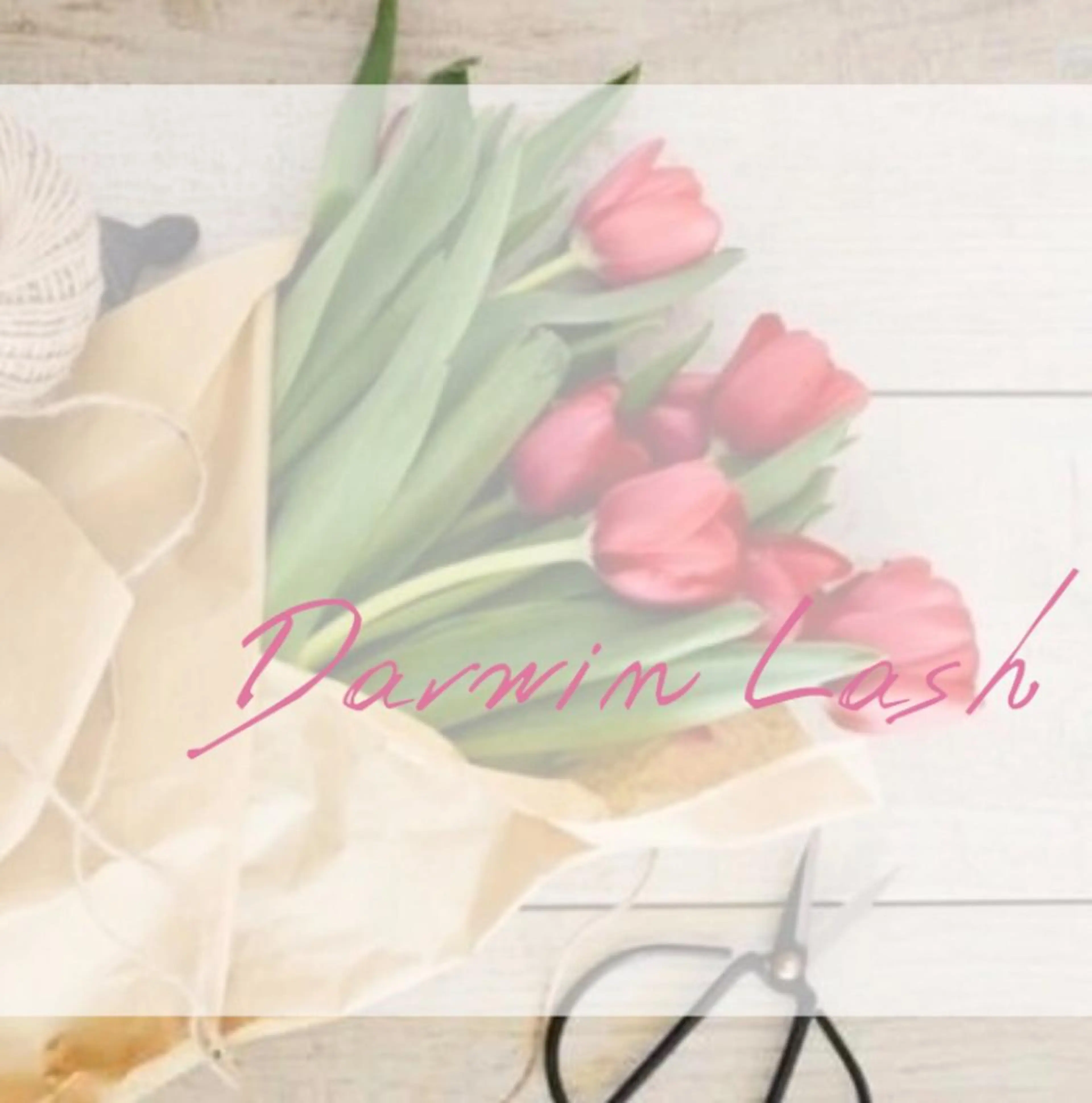 まつげと眉毛のお店Sakura Lash【サクララッシュ】所属・【ダメージケア特化】 🌸 サクララッシュの眉毛・アイブロウイメージ