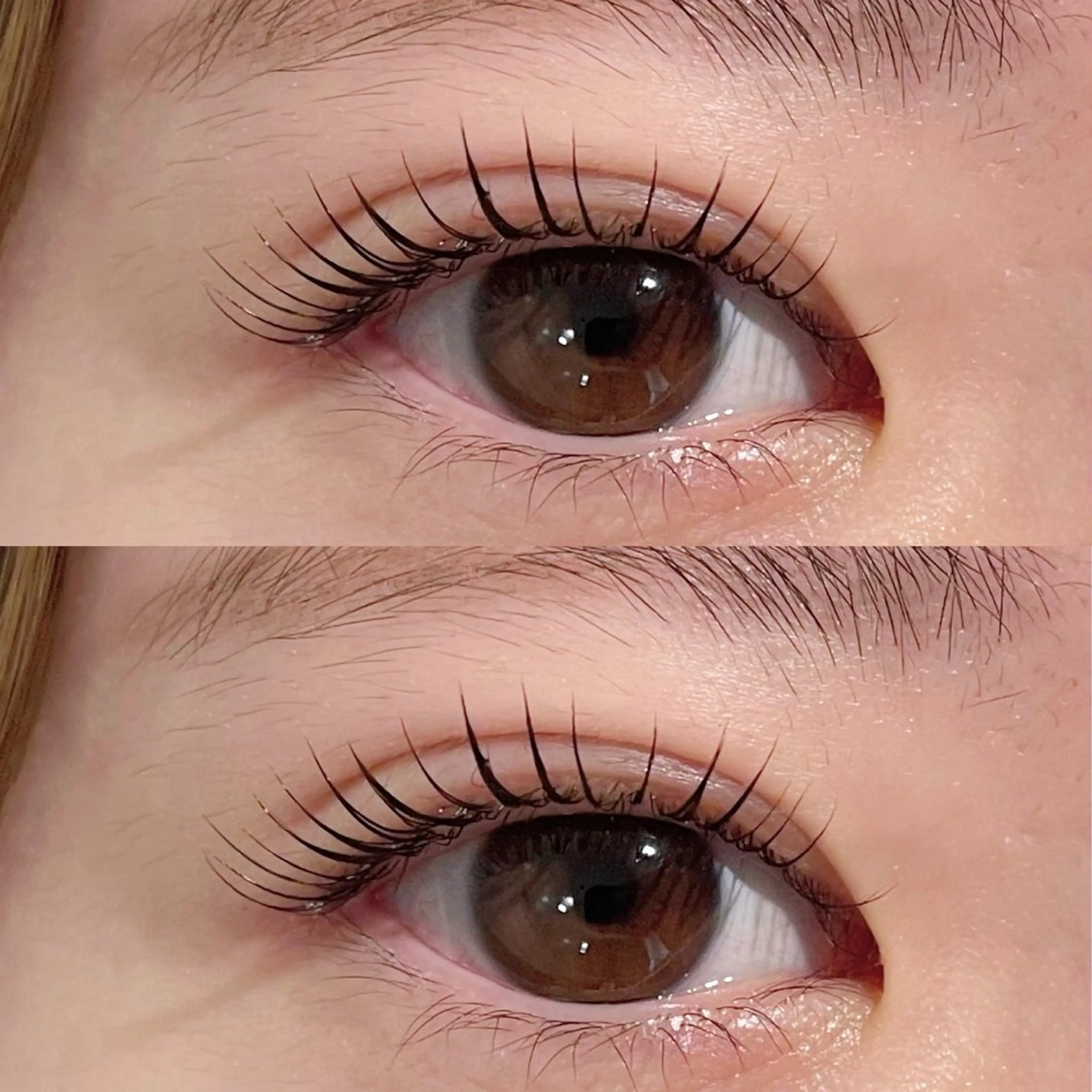 マツエク・マツパ Belle fee 根本のマツエク・マツパデザイン