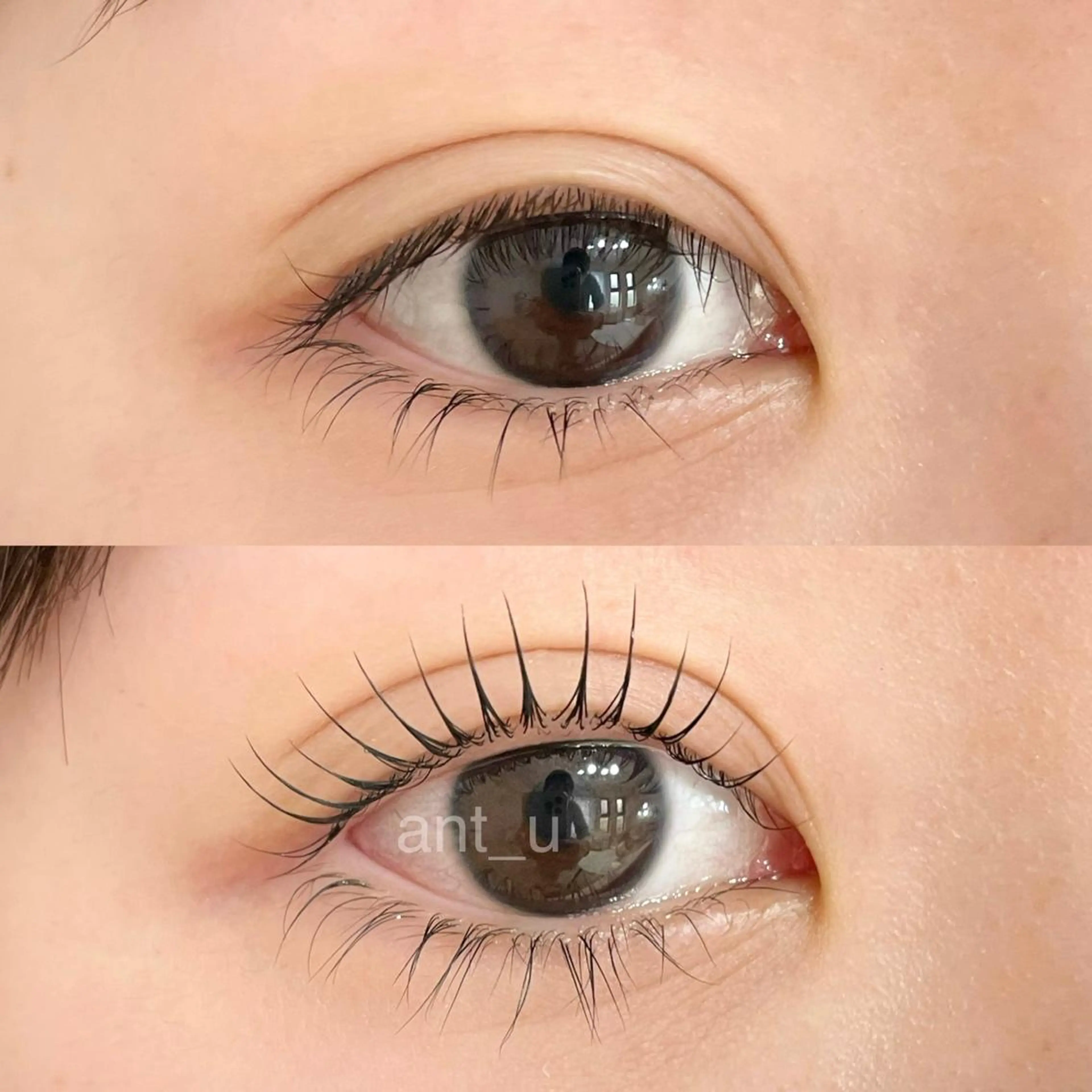 マツエク・マツパ ant_u🌷 arisaのマツエク・マツパデザイン