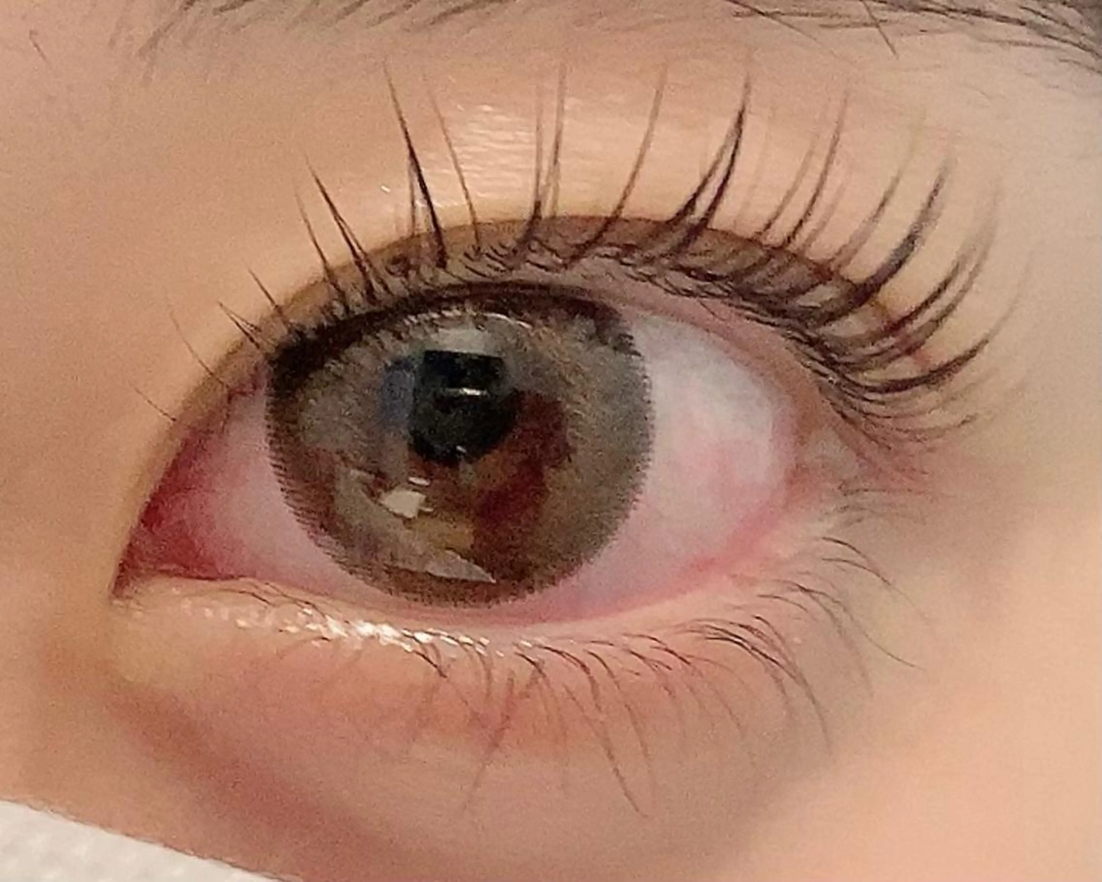 ラッシュリフトカール★まつ毛パーマの写真