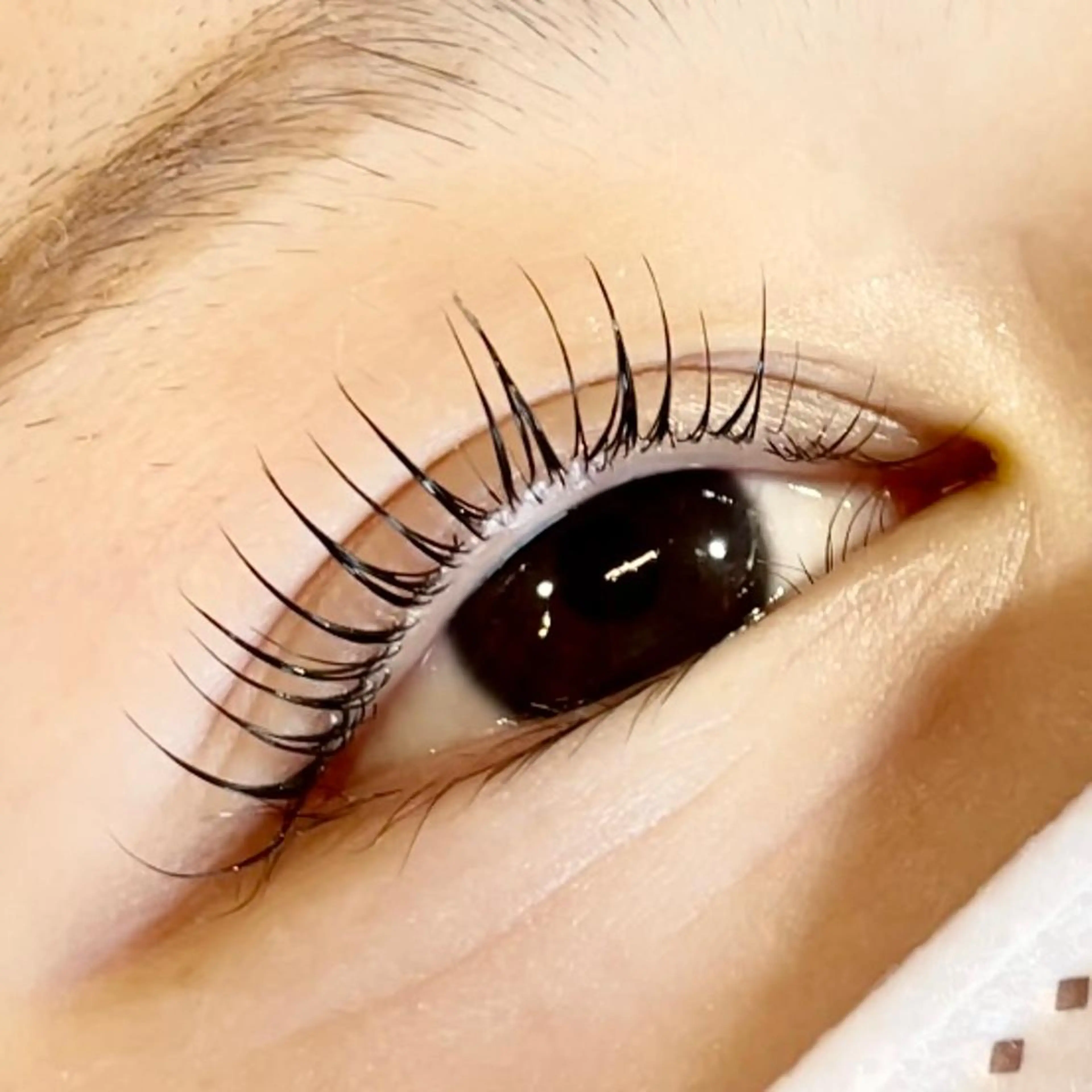 マツエク・マツパ マツパ 当日◎中目黒 まつげまゆげサロンのマツエク・マツパデザイン