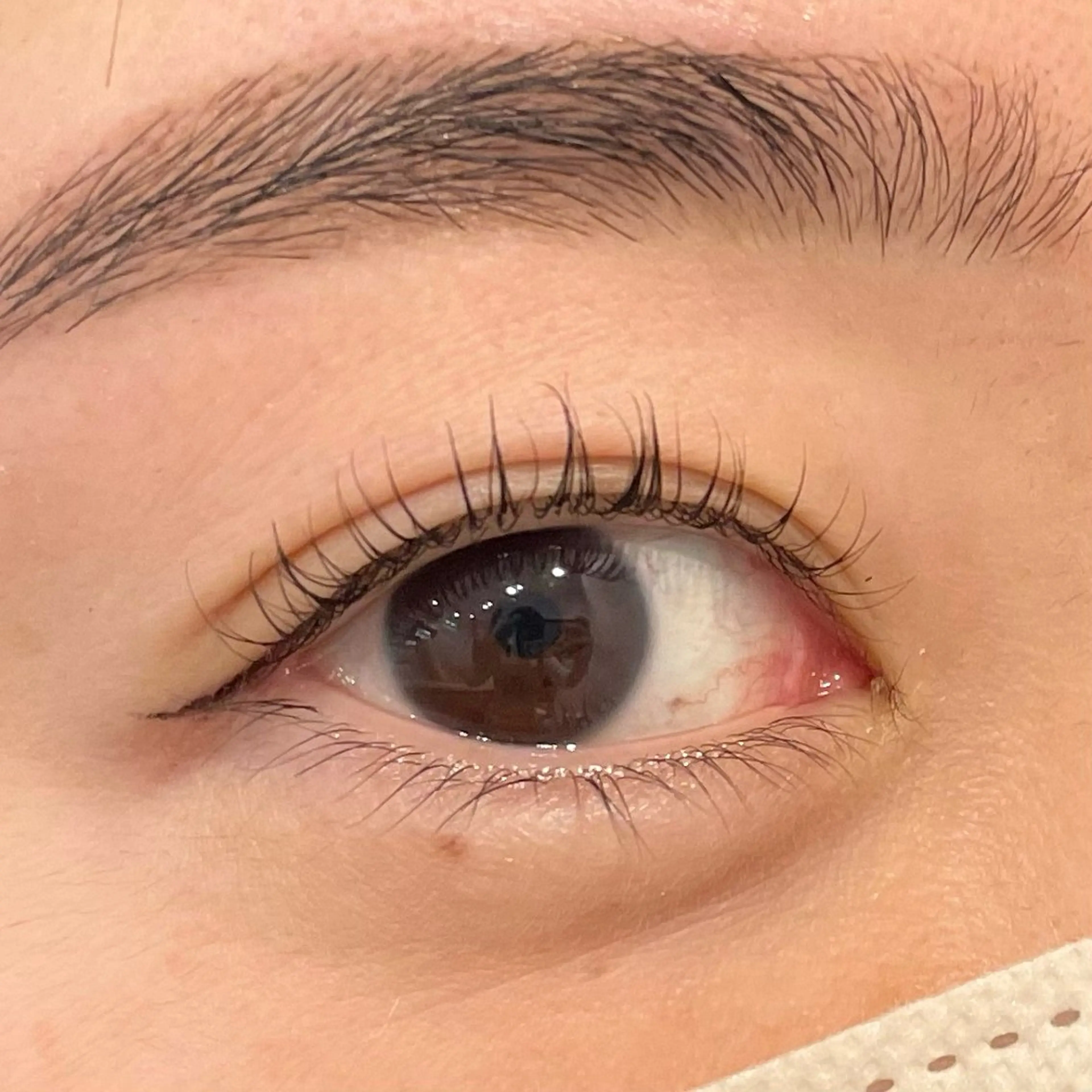 マツエク・マツパ マツパ KUSAKAWA 新宿マルイ本館 店長のマツエク・マツパデザイン