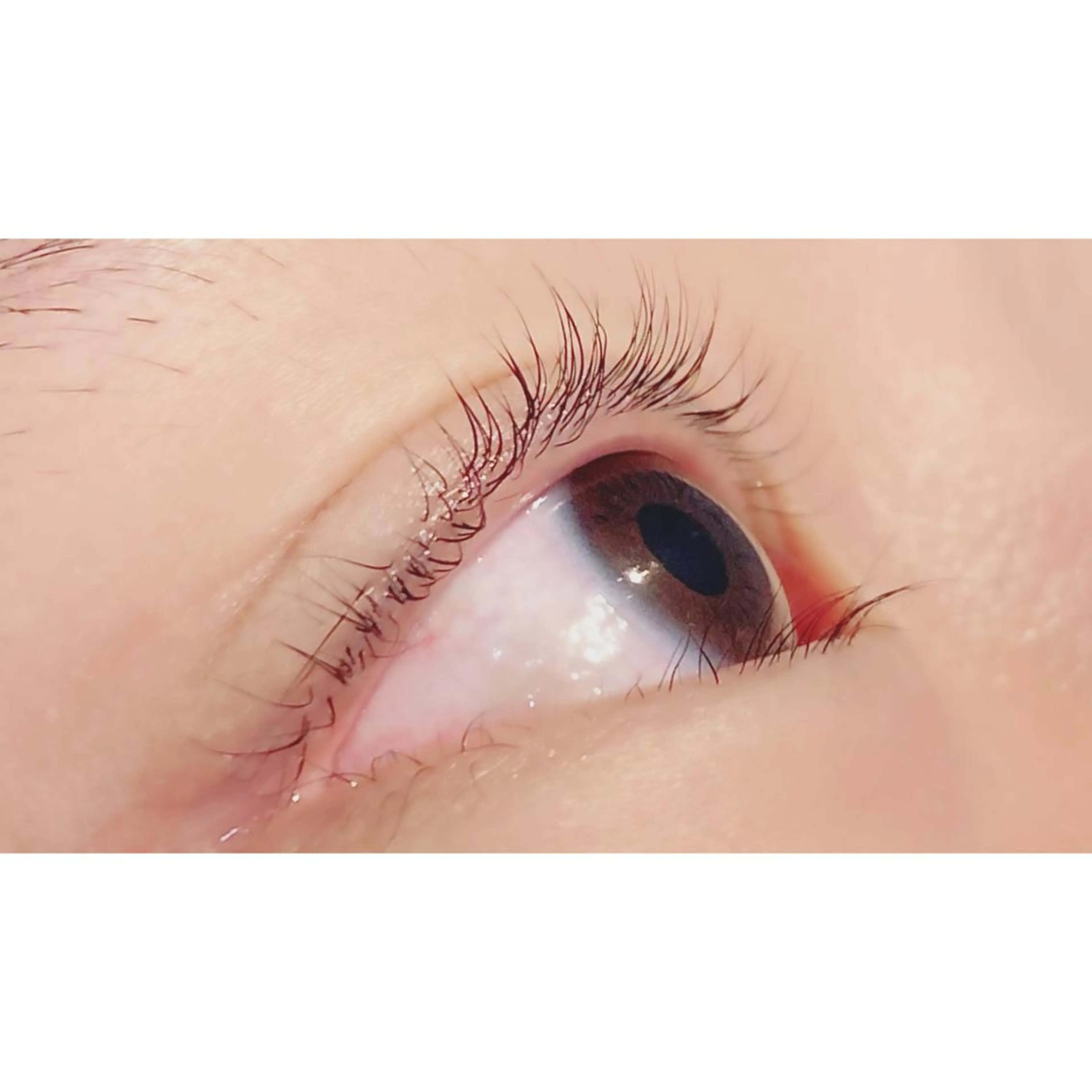 マツエク・マツパ パリジェンヌラッシュリフト Bianca 長津田店　長牛の眉毛・アイブロウイメージ