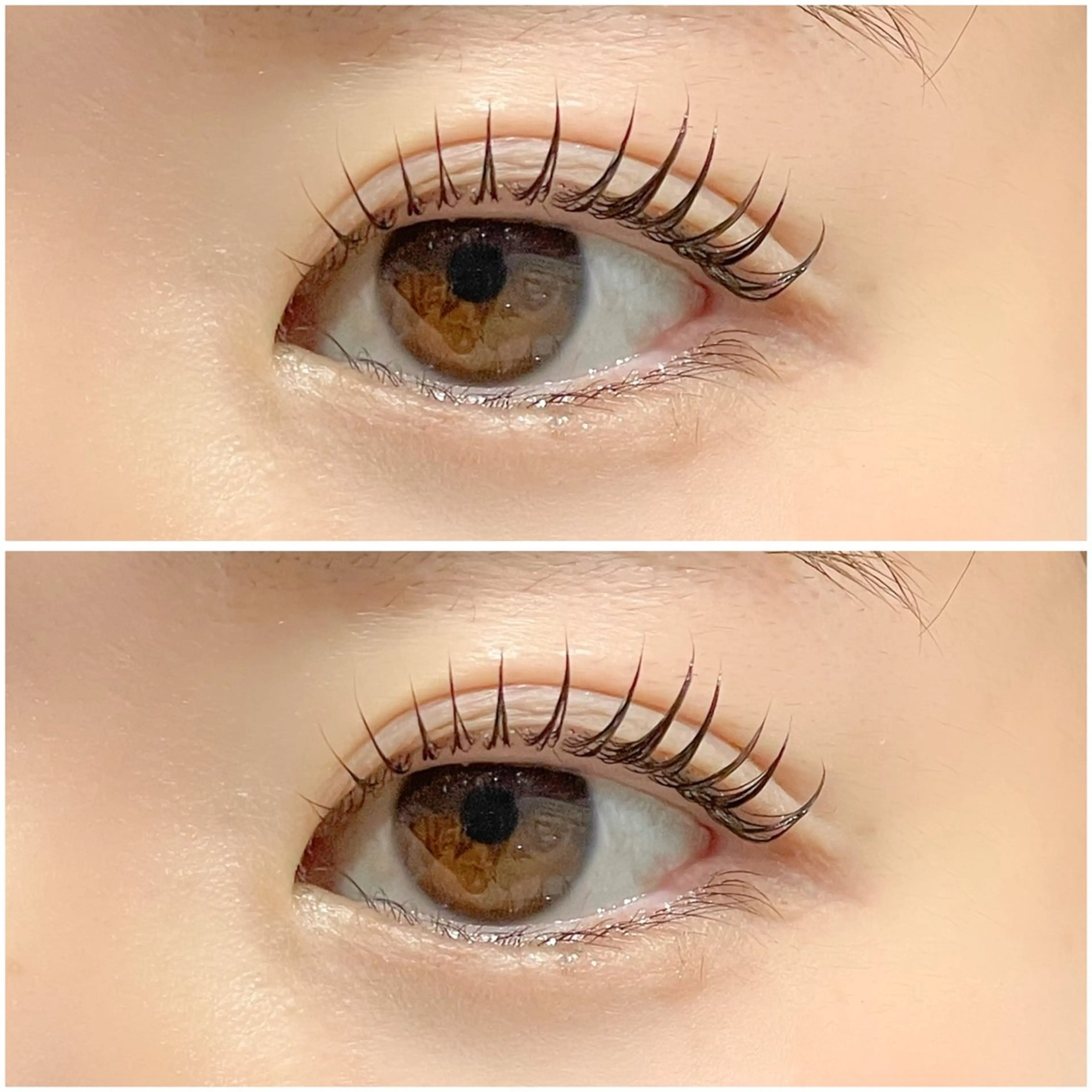 マツエク・マツパ 一重×まつ毛パーマ マツパ 🤍Anna仙台店 田代 美咲‎🤍のマツエク・マツパデザイン