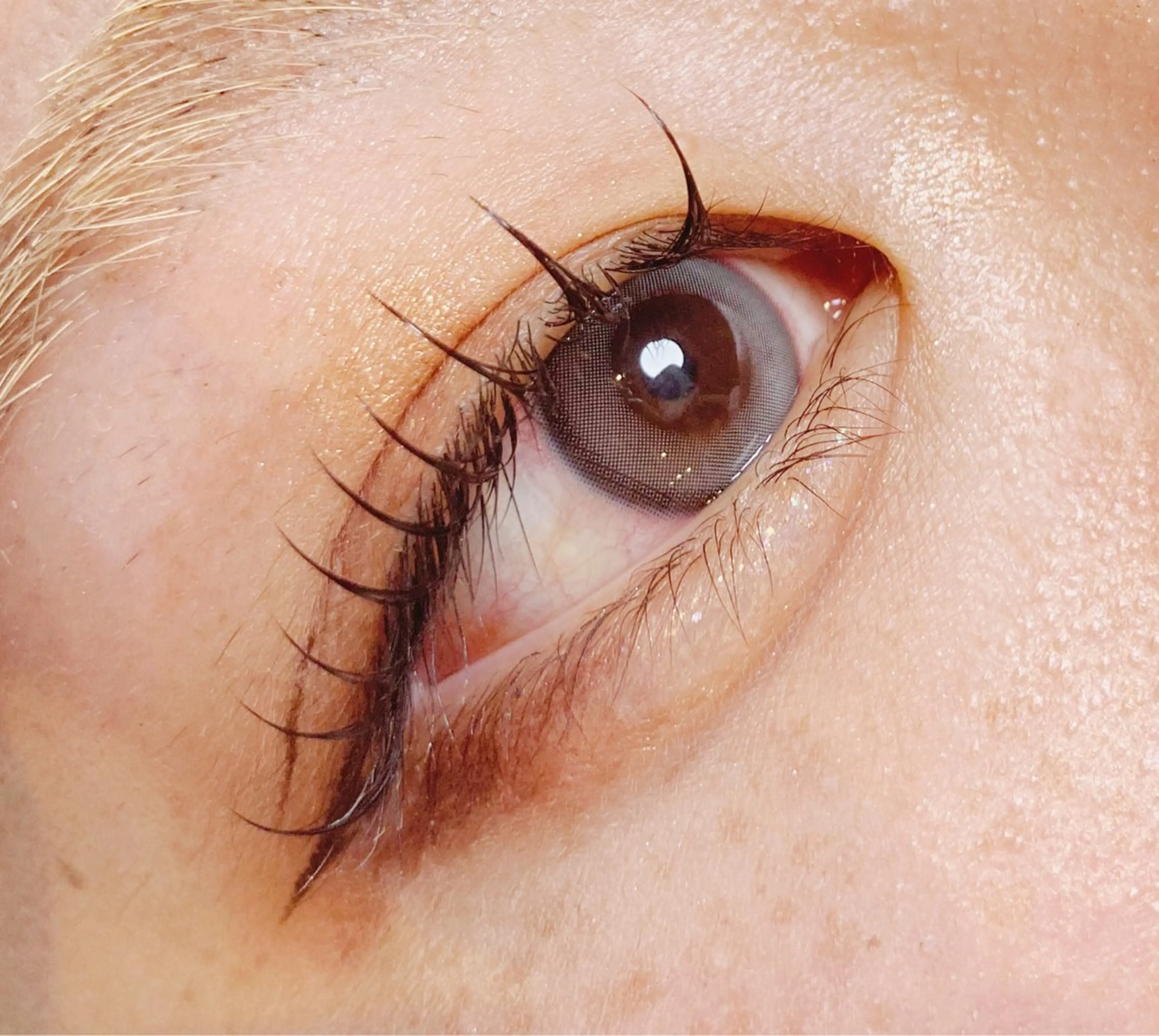 【新規オプション付】上まつ毛パーマ¥6050→¥4400の写真