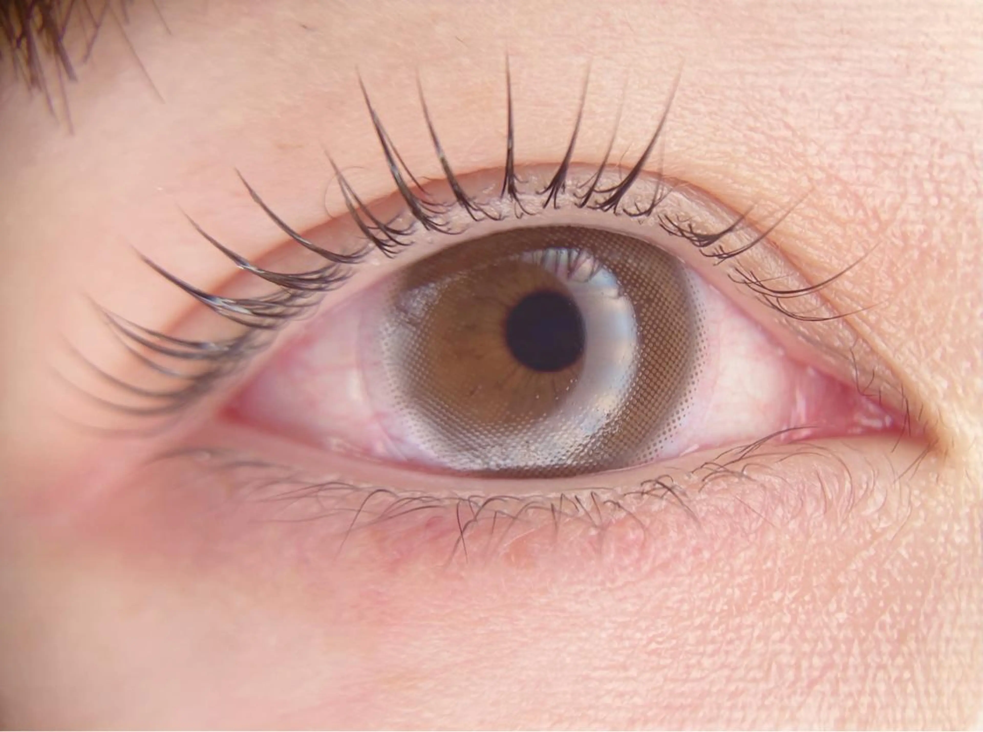 マツエク・マツパ マツパ -Ojiー セナのマツエク・マツパデザイン