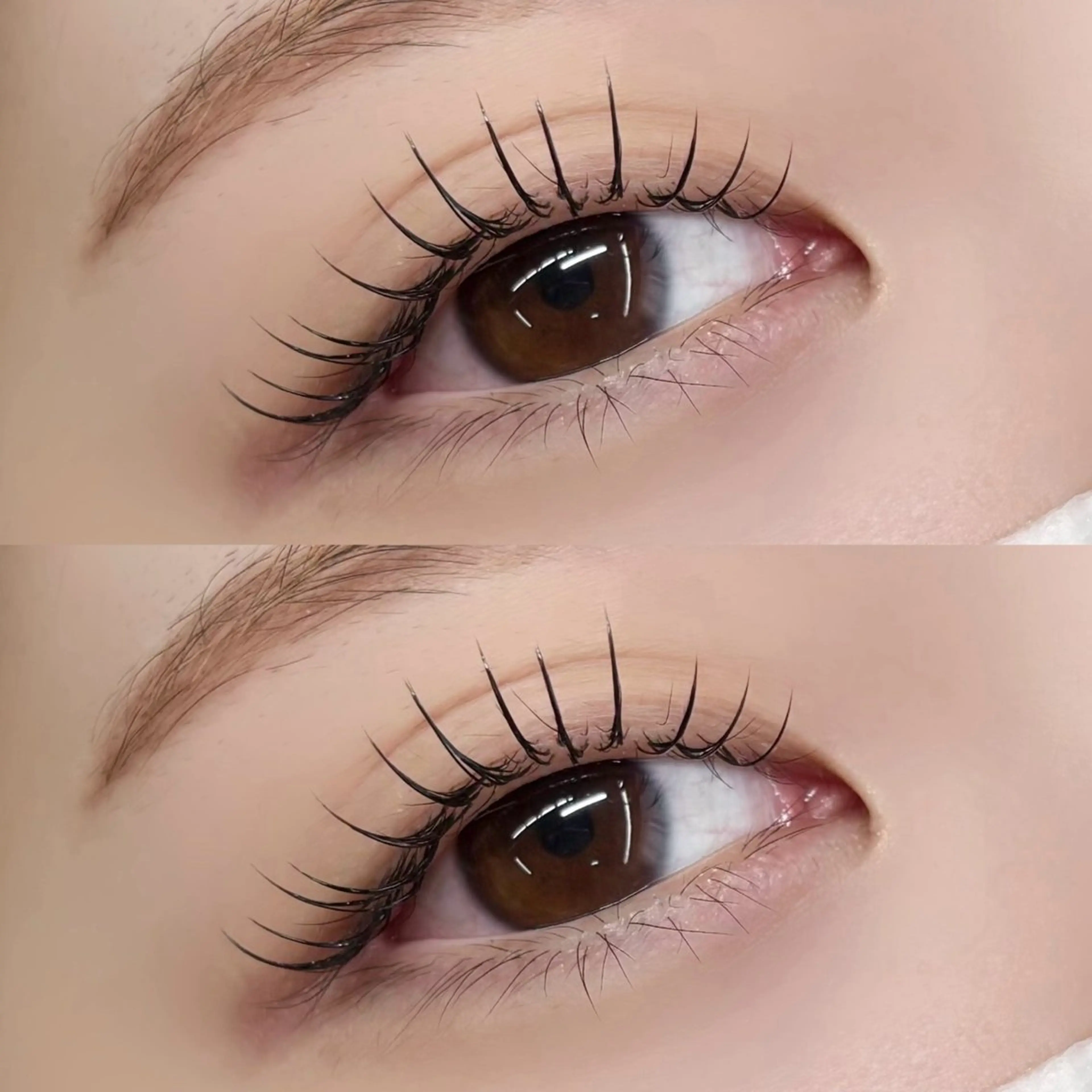 マツエク・マツパ マツエク 【LILY】伊沢/ バインド/パリ/エクのマツエク・マツパデザイン