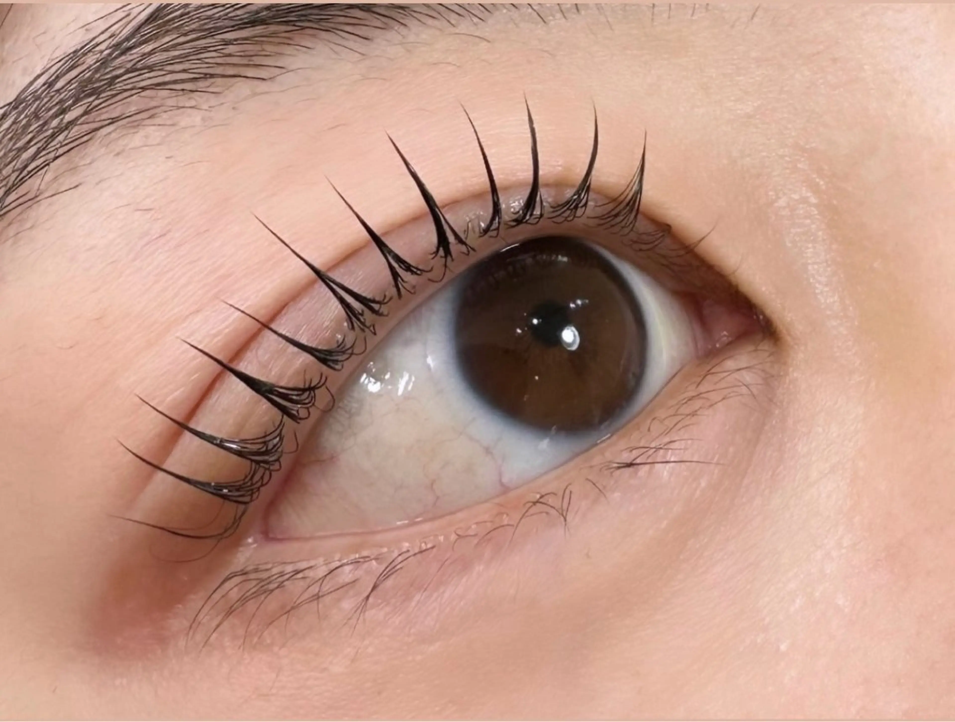 マツエク・マツパ パリジェンヌラッシュリフト マツパ 川畑🌻 アンジェリカ錦糸町のマツエク・マツパデザイン