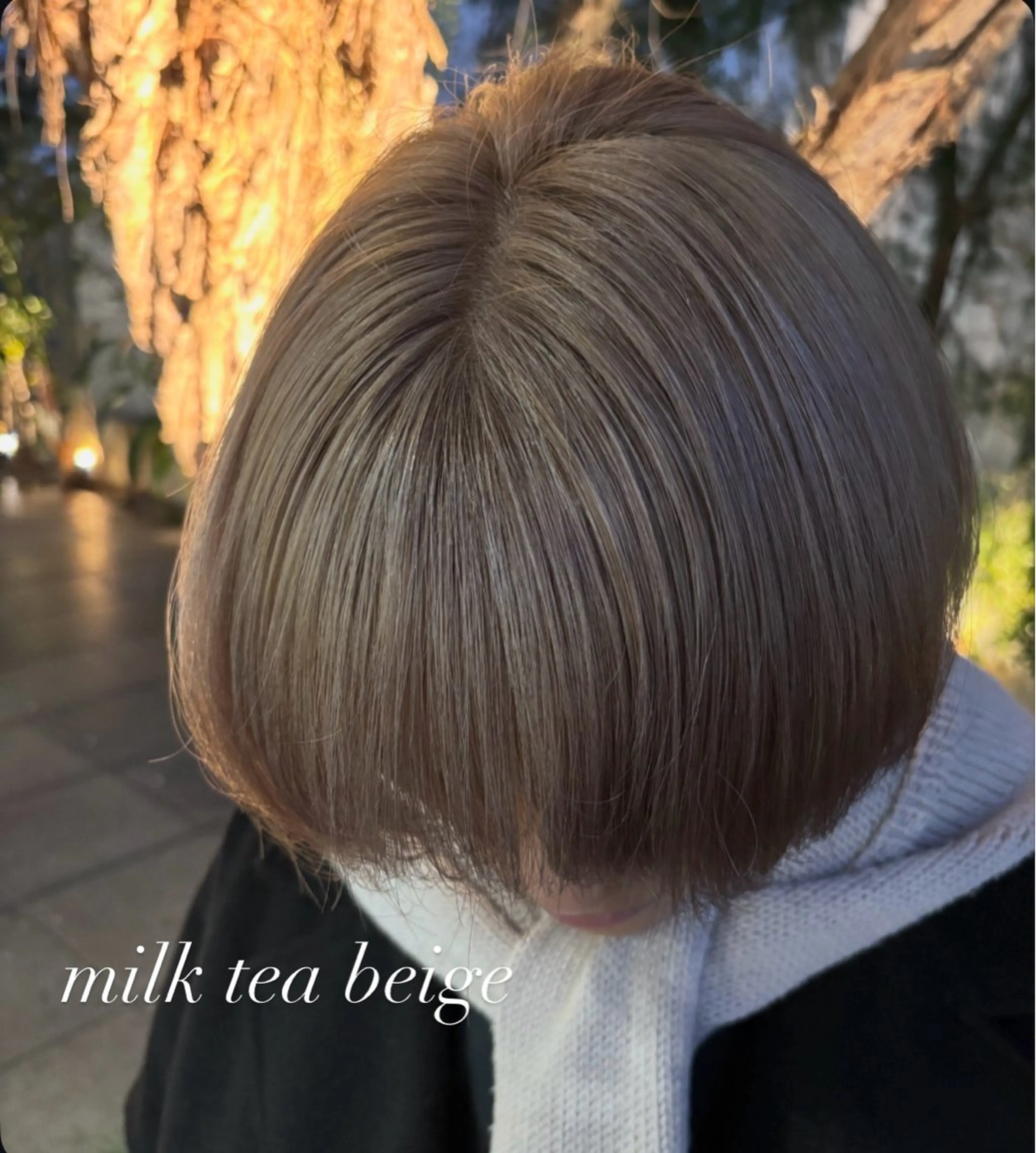 【当日ok‼️】1bleach（ケアブリーチ）✖️color✖️3step systemtreatmentの写真