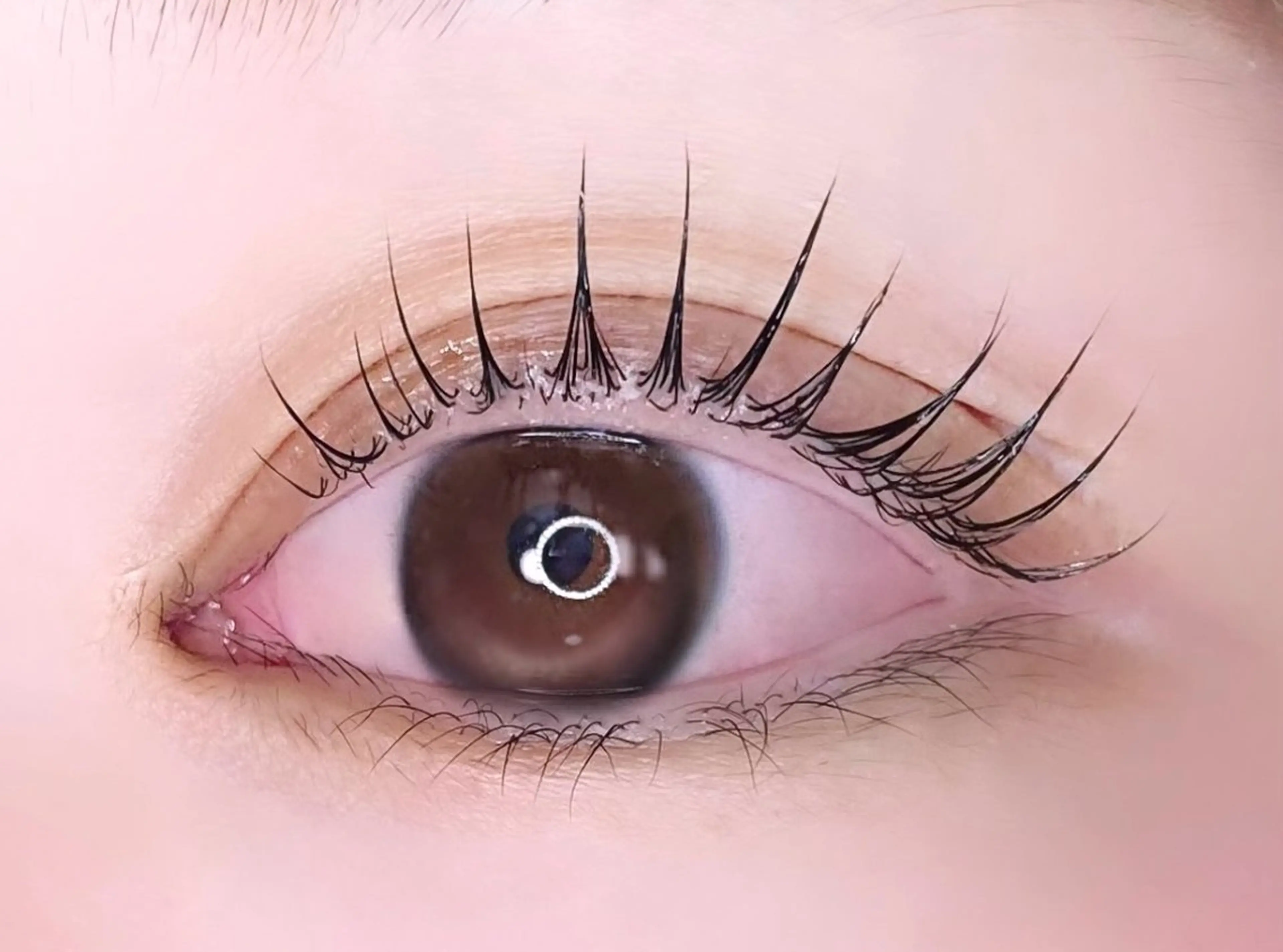 マツエク・マツパ REBYNA 【リバイン】のマツエク・マツパデザイン