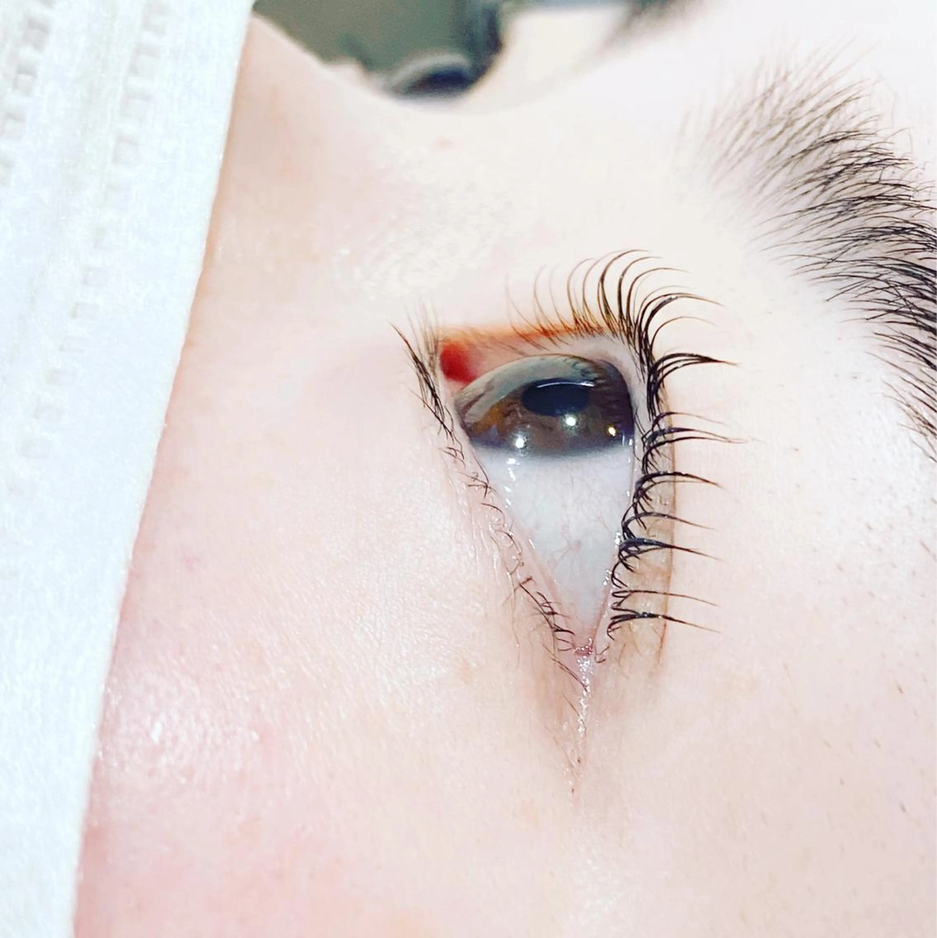 マツエク・マツパ PROGRESS 龍ヶ崎 小泉🦋のマツエク・マツパデザイン