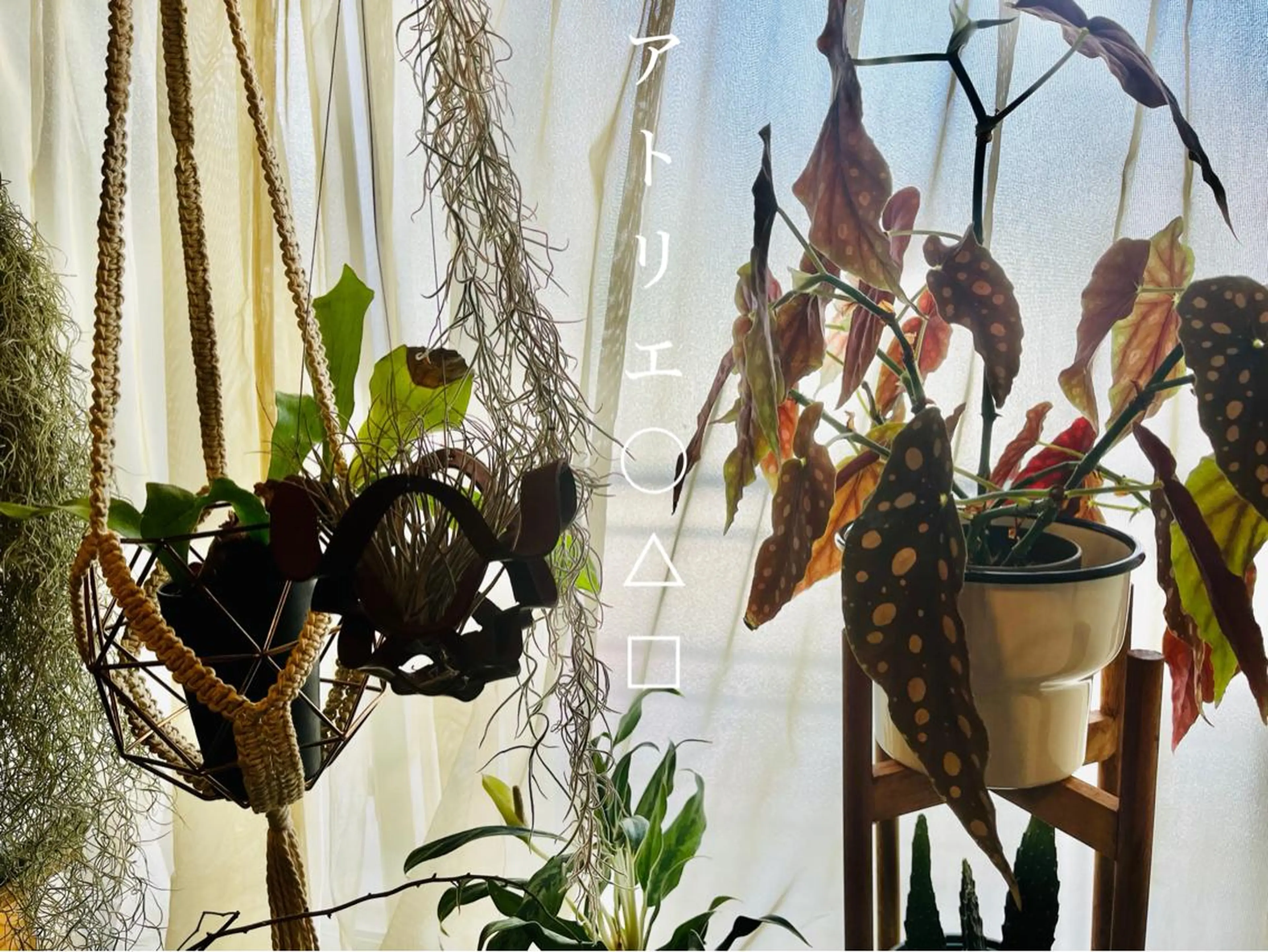 ネイル アトリエ ○△□のネイルデザイン